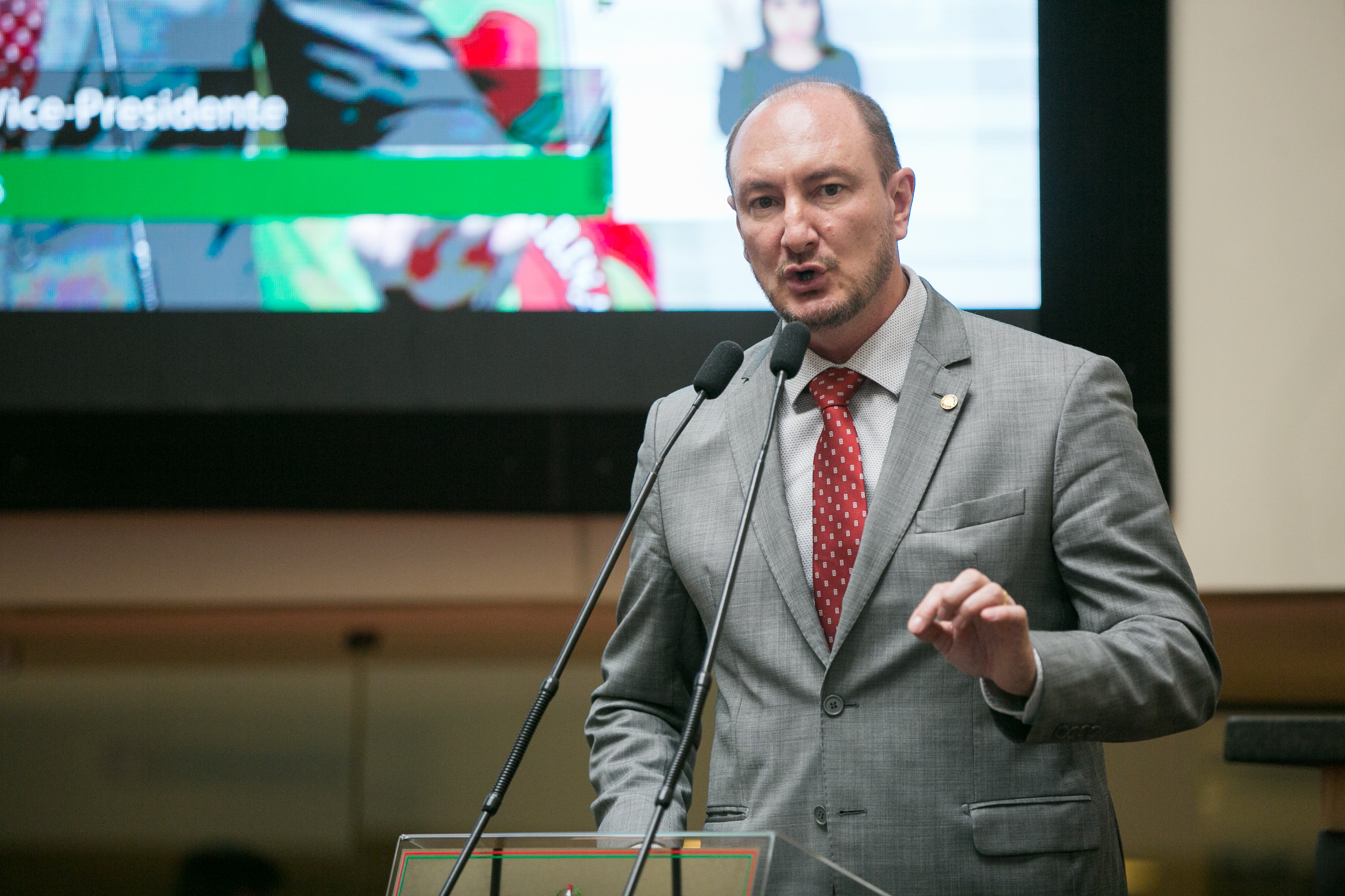 Deputado Mauro de Nadal (MDB)