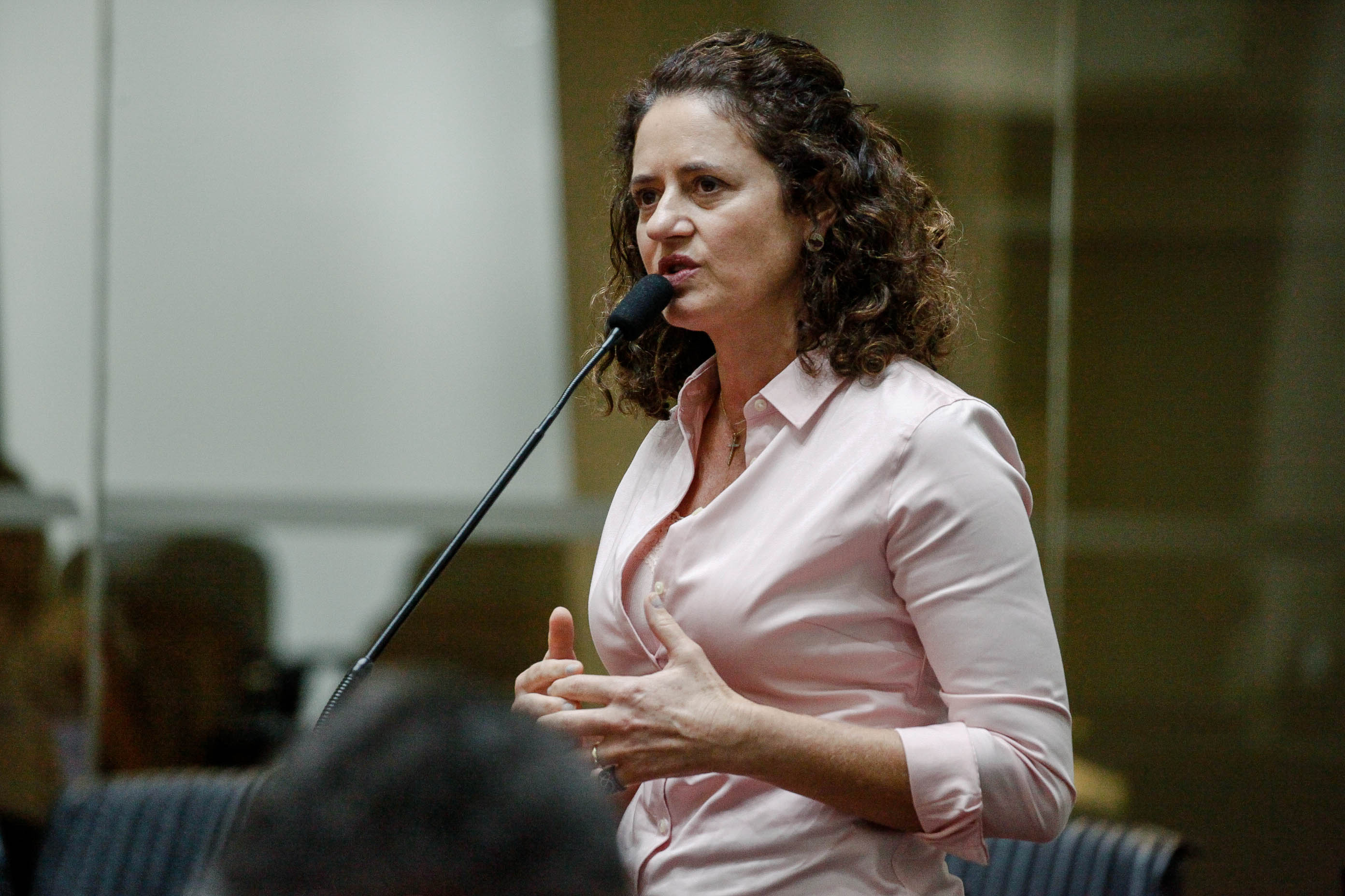 Deputada Marlene Fengler (PSD)