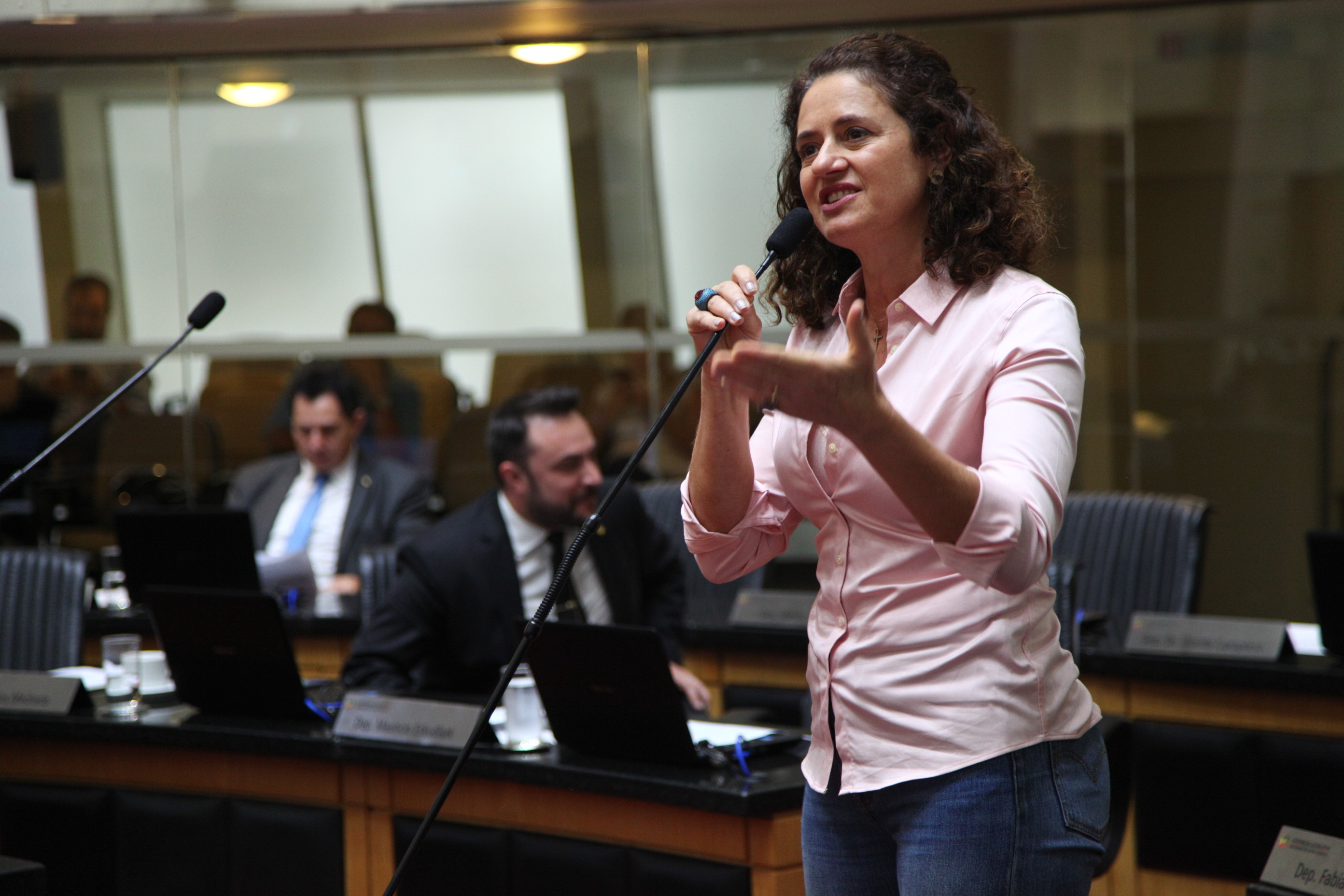 Sessão Ordinária - Deputada Marlene Fengler (PSD)