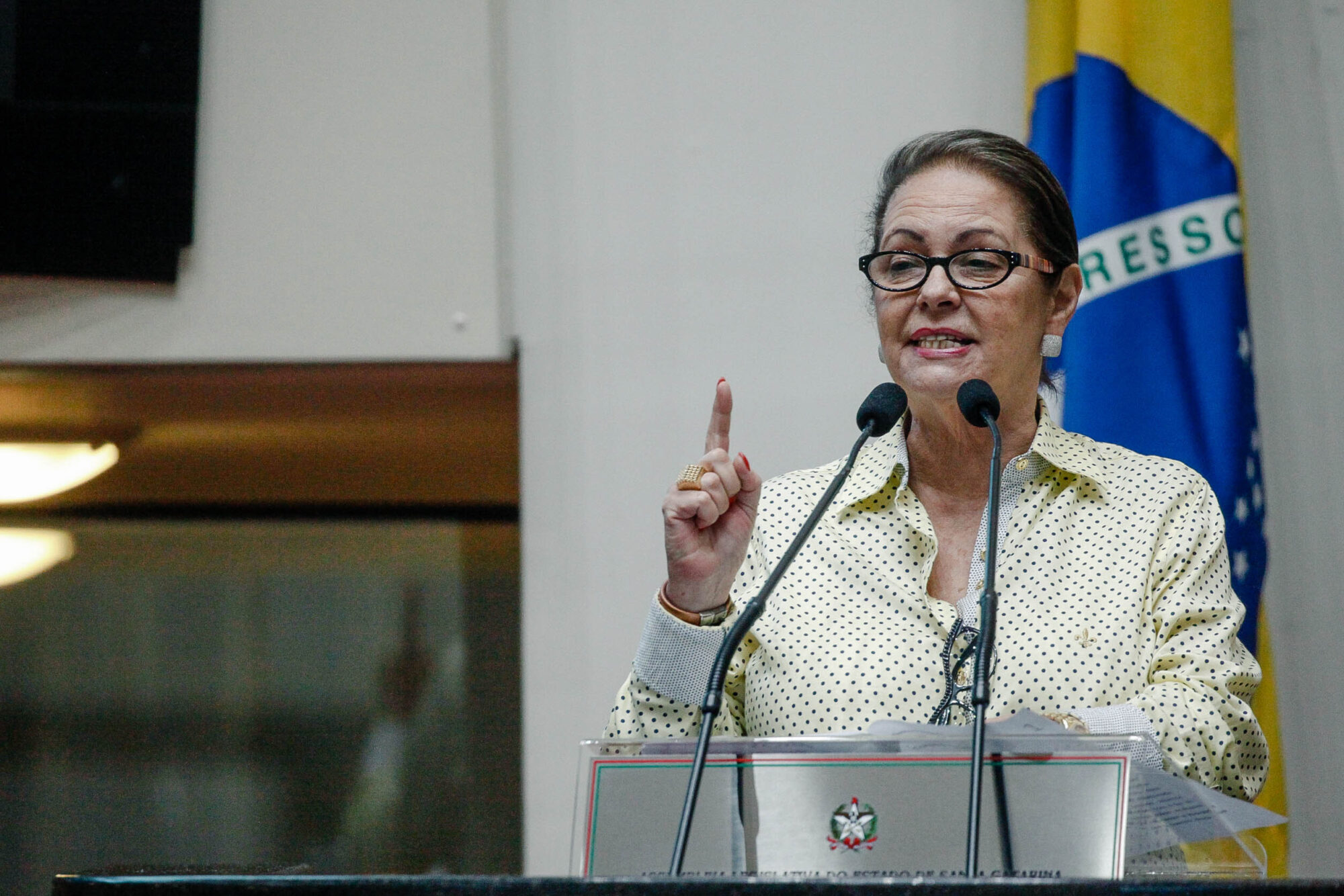 Taxa de feminicídios em Santa Catarina provoca repúdio no Plenário