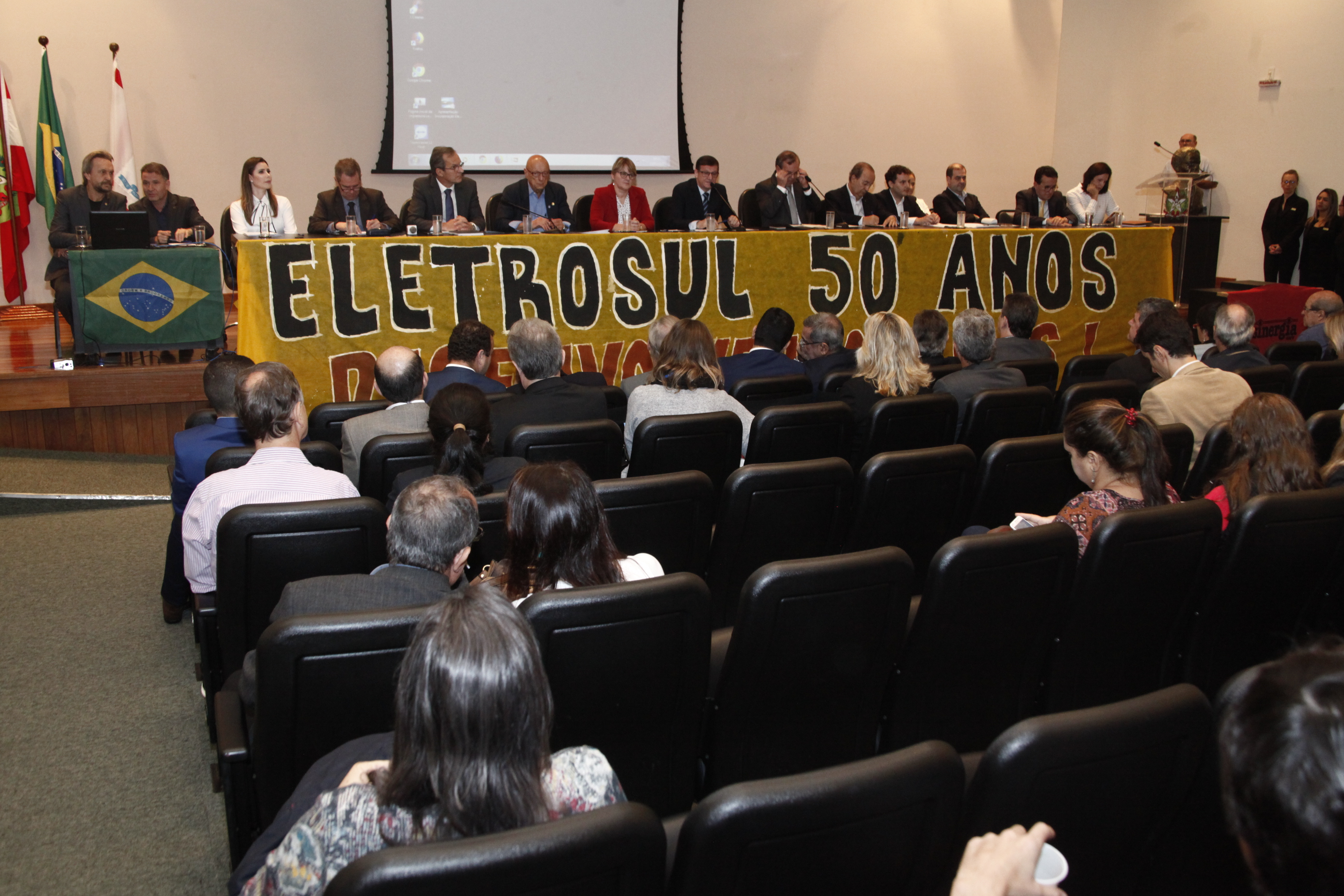 Audiência Pública para Discutir Fusão e Incorporação das Empresas ELETROSUL e CGTEE
