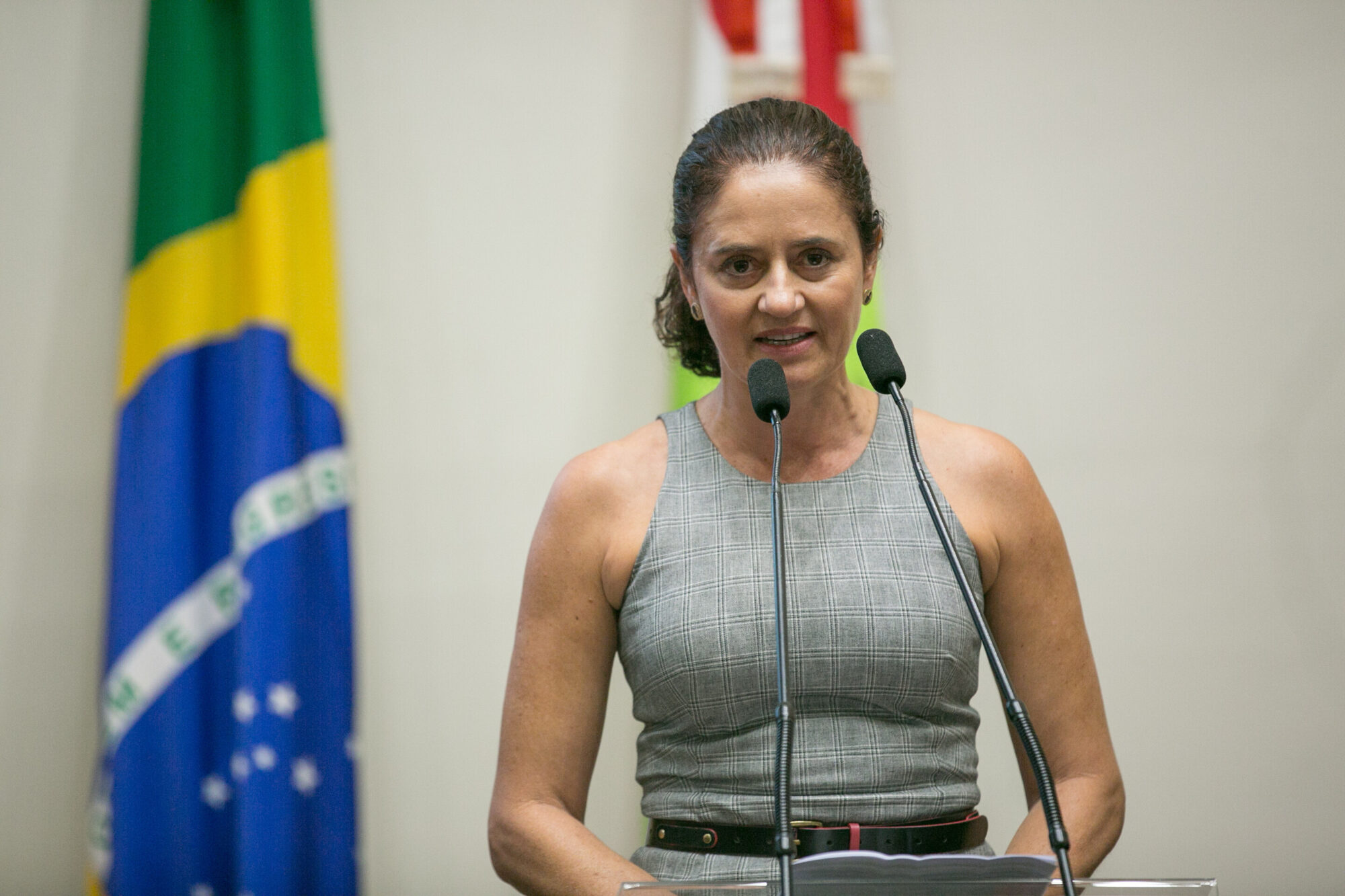 Deputada Marlene Fengler