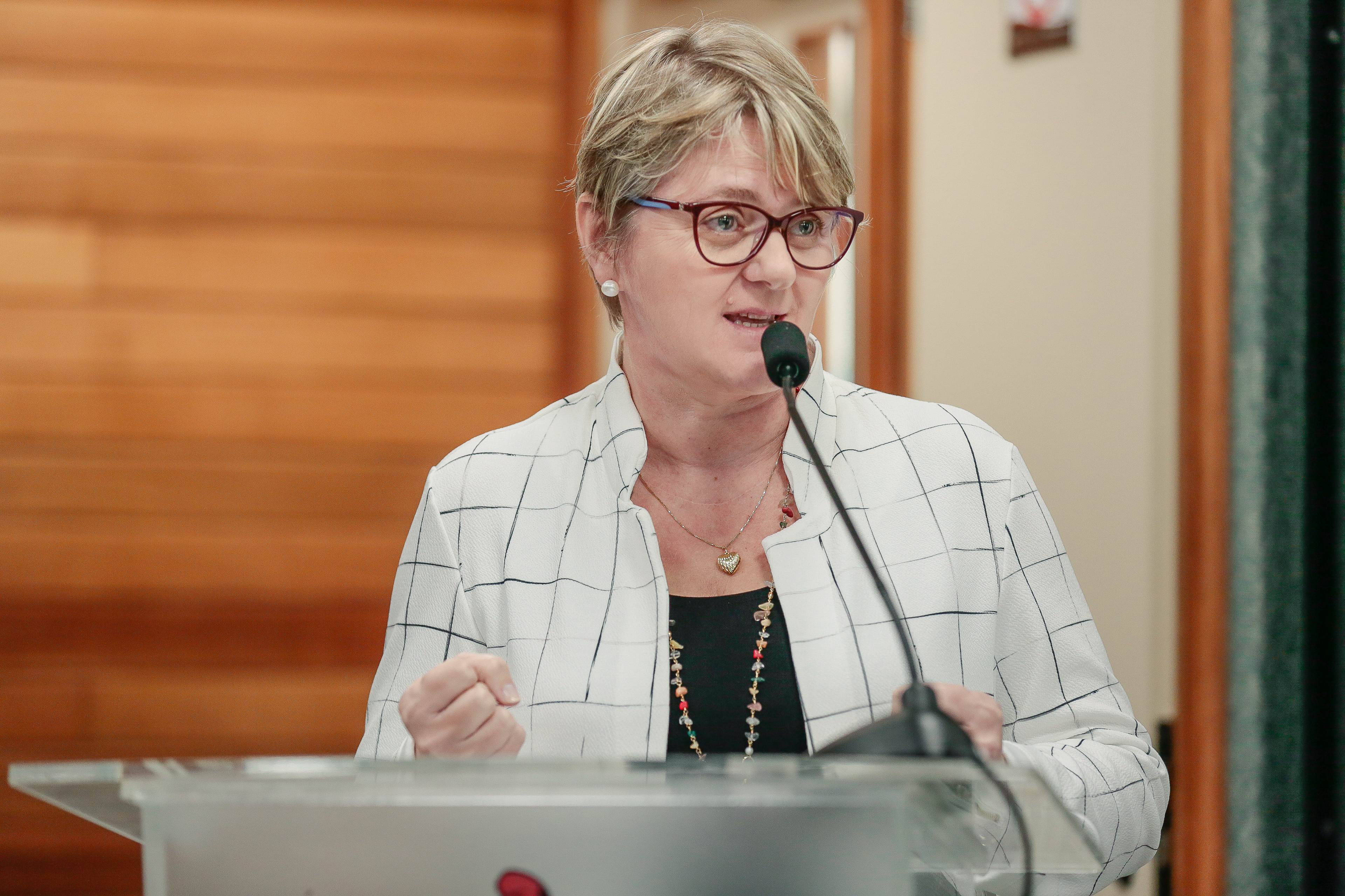Deputada Luciane Carminatti (PT)