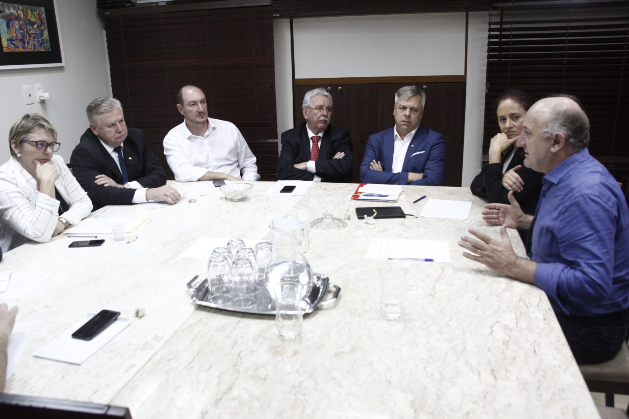Bancada do Oeste debate recolhimento de carcaças de animais e consórcios