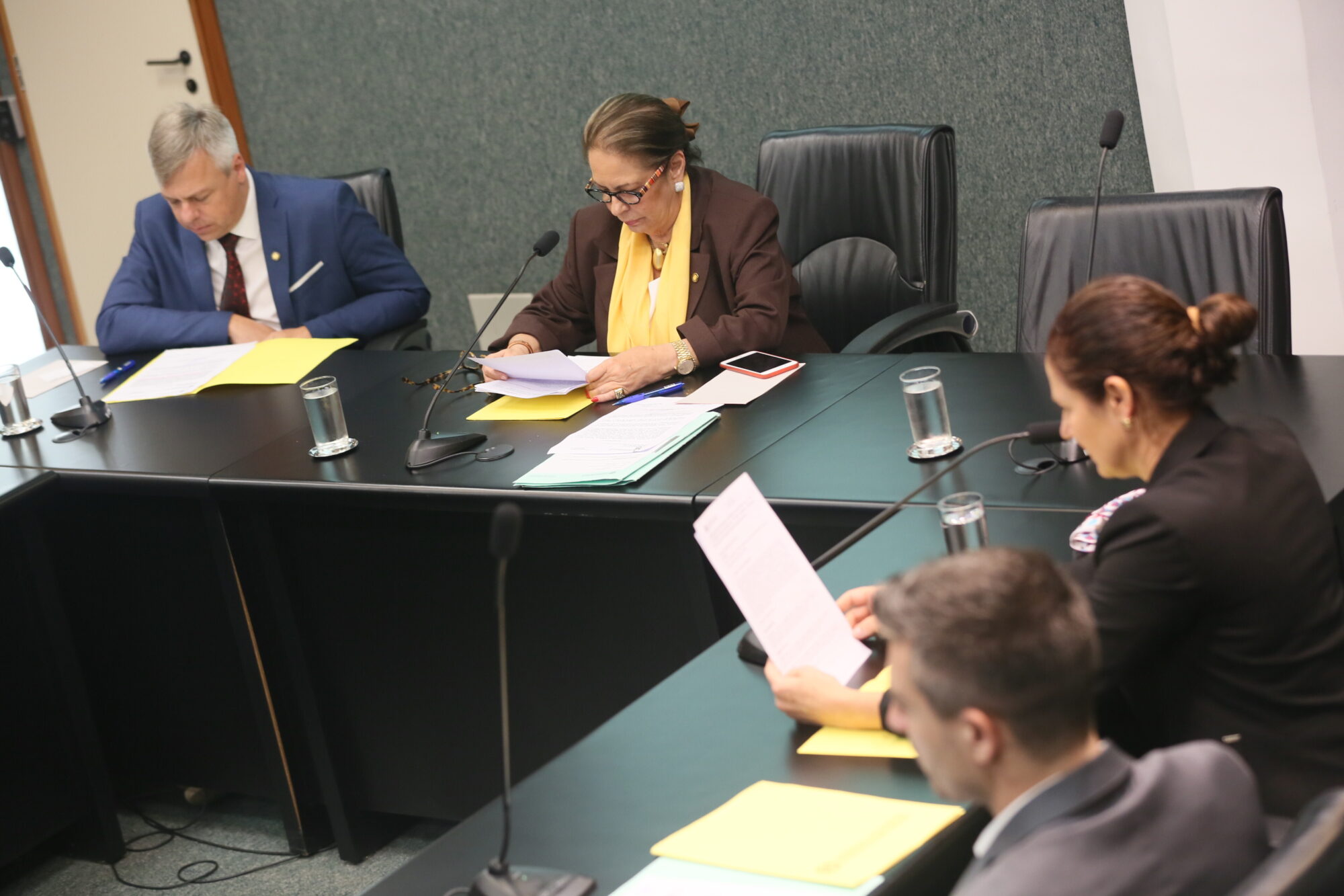 Comissão de Direitos Humanos define cronograma de audiências e reuniões