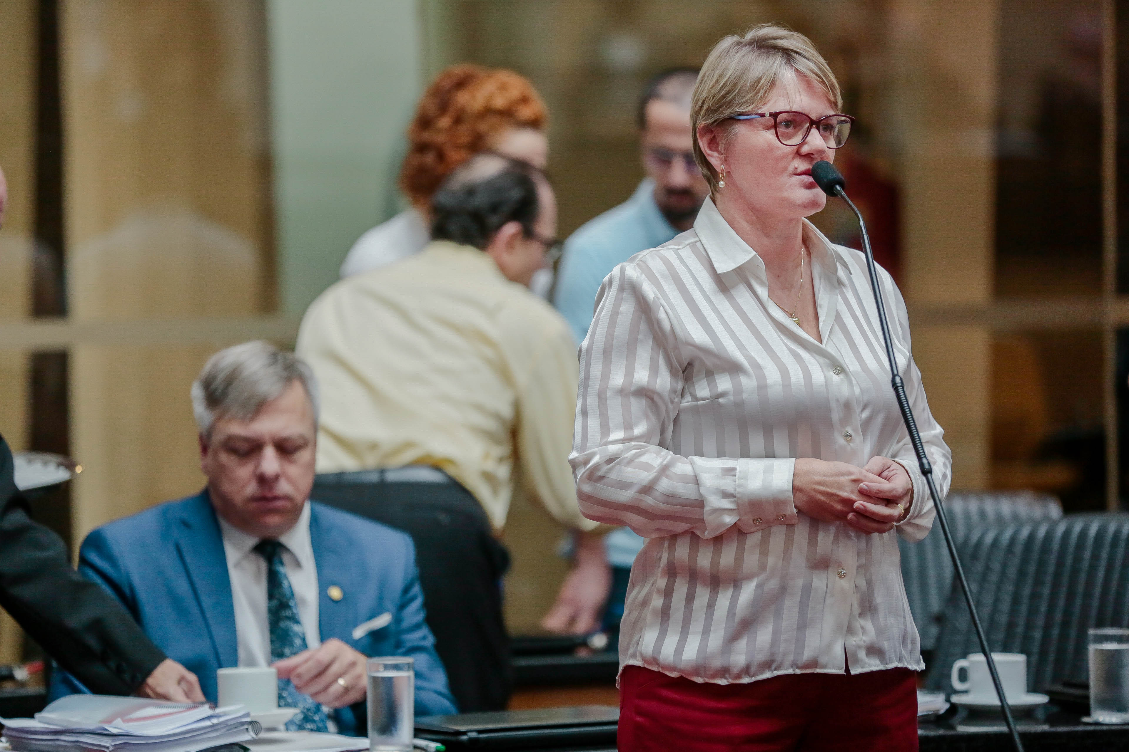 Deputada Luciane Carminatti (PT)