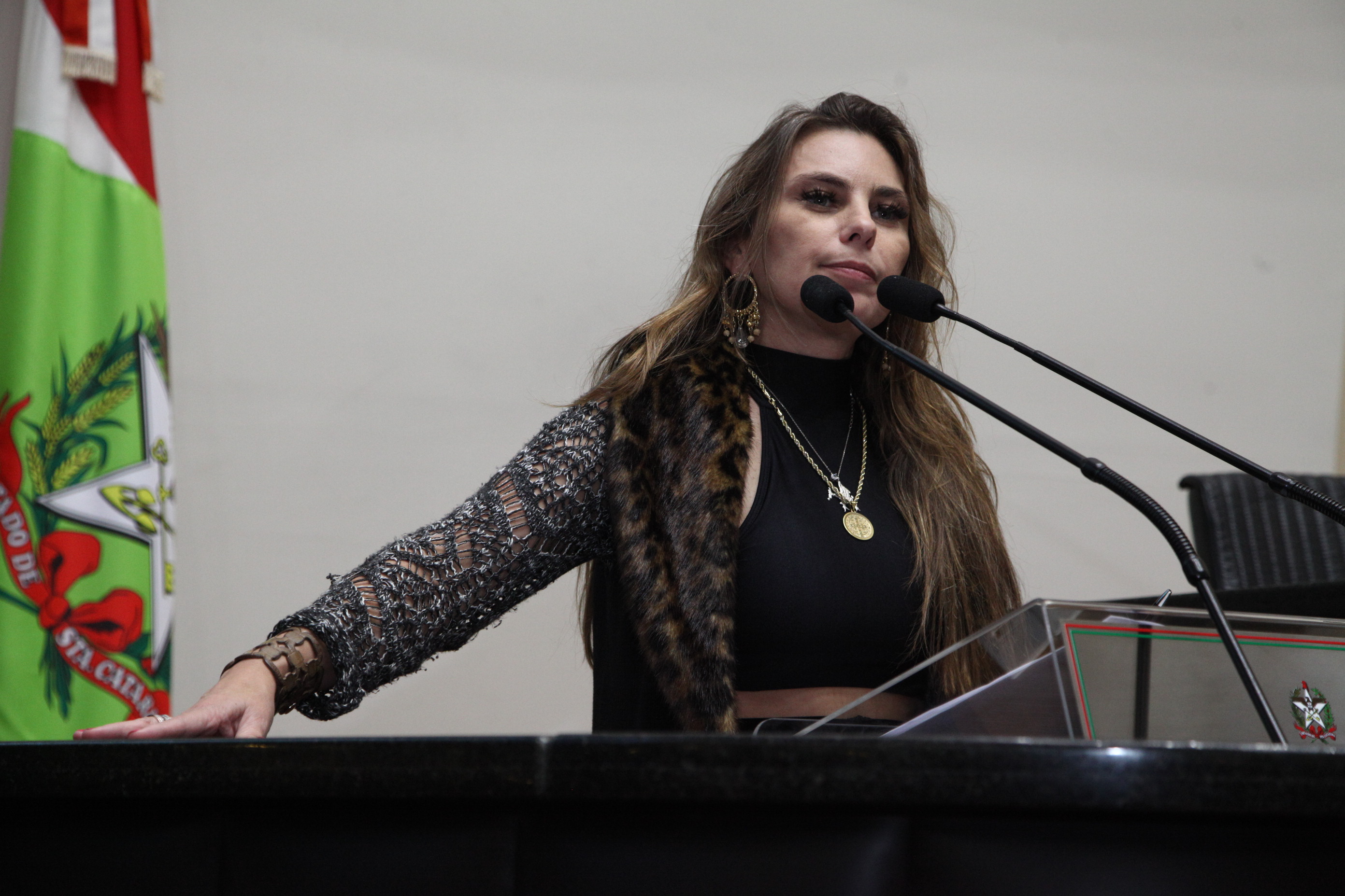 Sessão Ordinária - Deputada Ana Paula da Silva (PDT)
