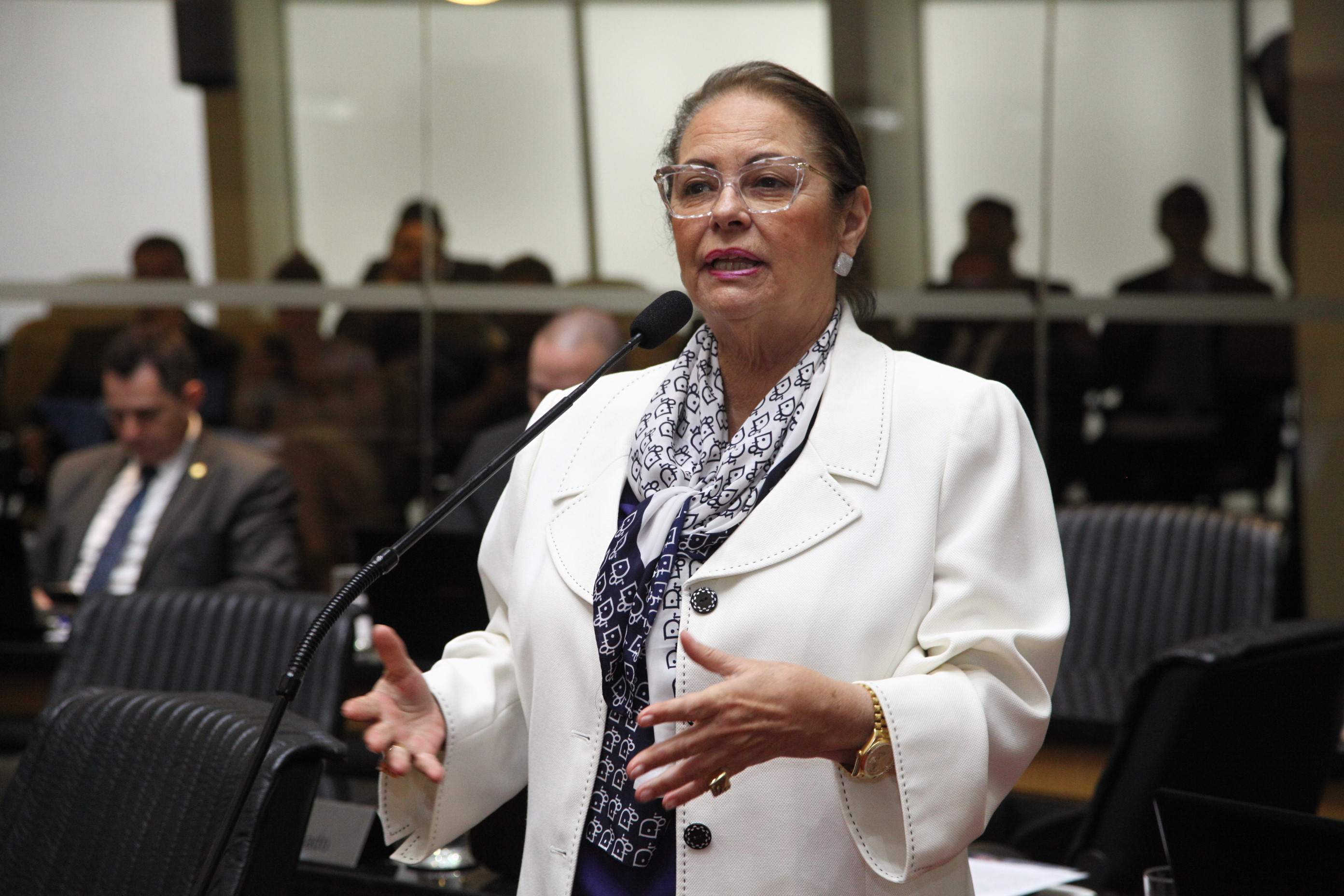 Sessão Ordinária - Deputada Ada Faraco de Luca (MDB)