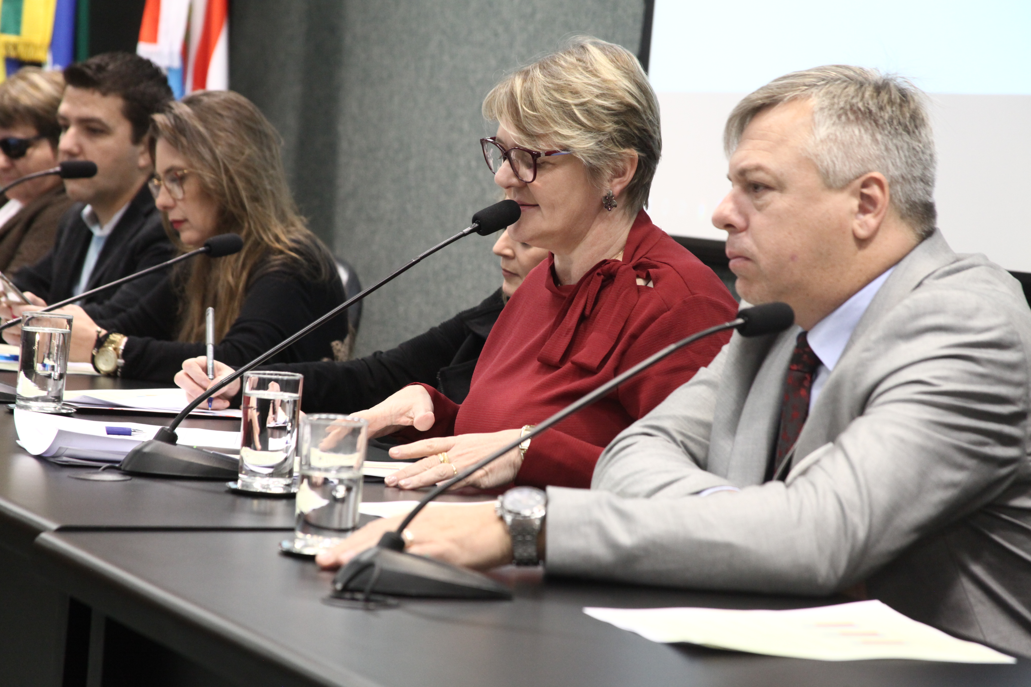 Lançamento Frente Parlamentar em Defesa de Políticas Públicas _ Assistência Social