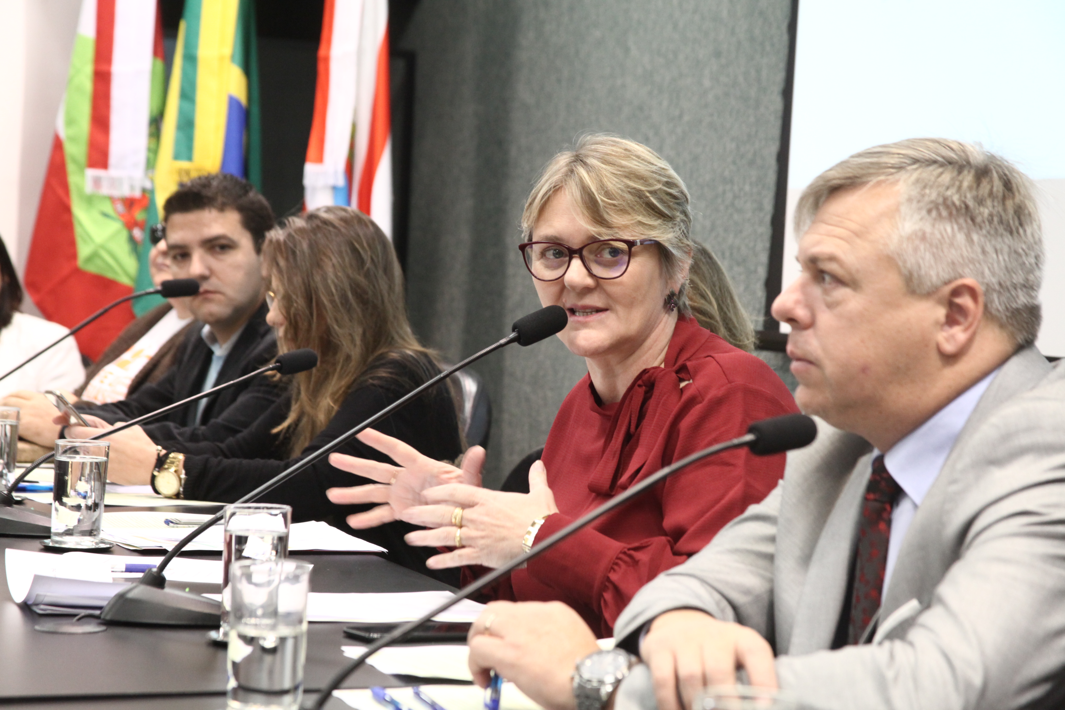 Lançamento Frente Parlamentar em Defesa de Políticas Públicas _ Assistência Social