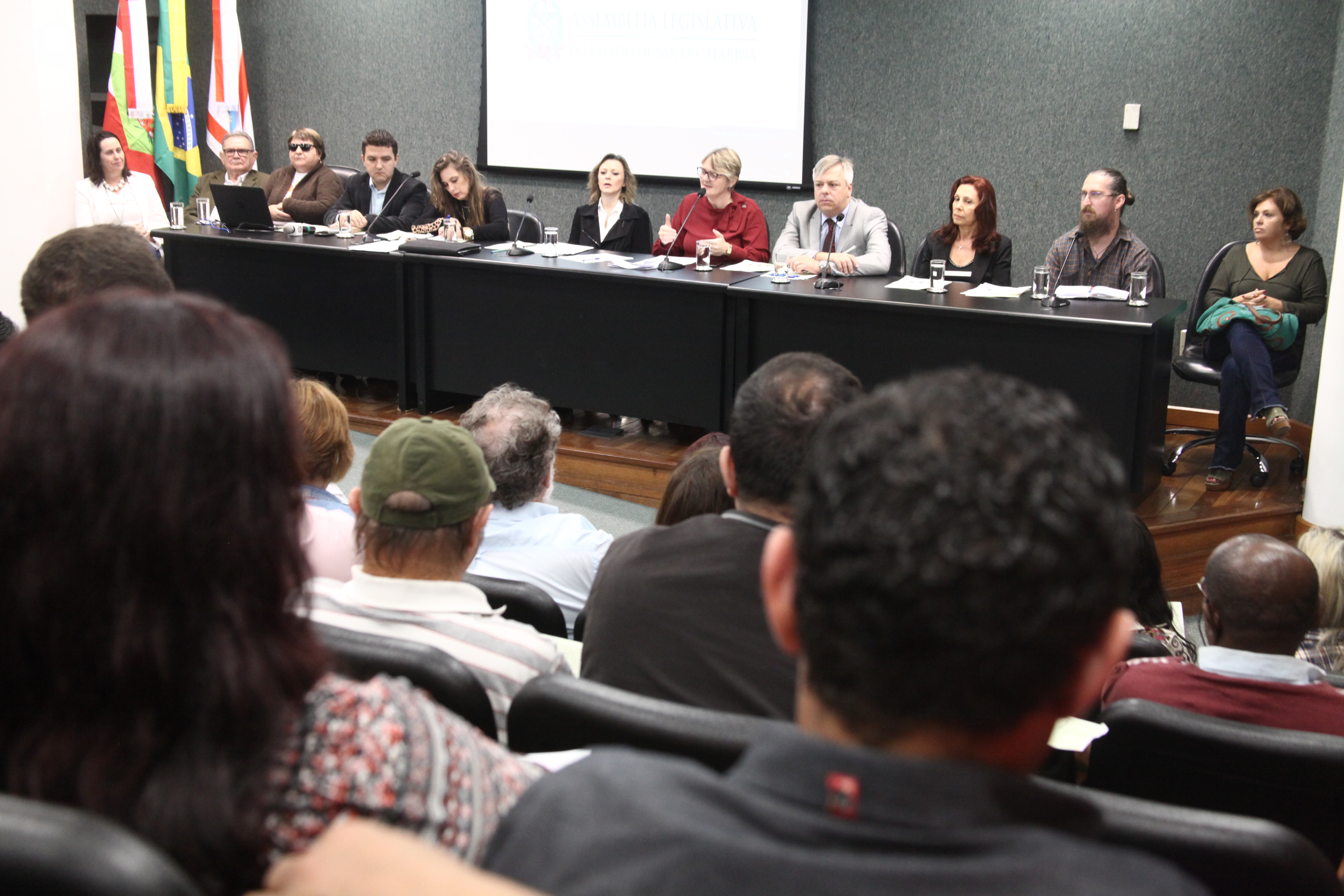 Lançamento Frente Parlamentar em Defesa de Políticas Públicas _ Assistência Social