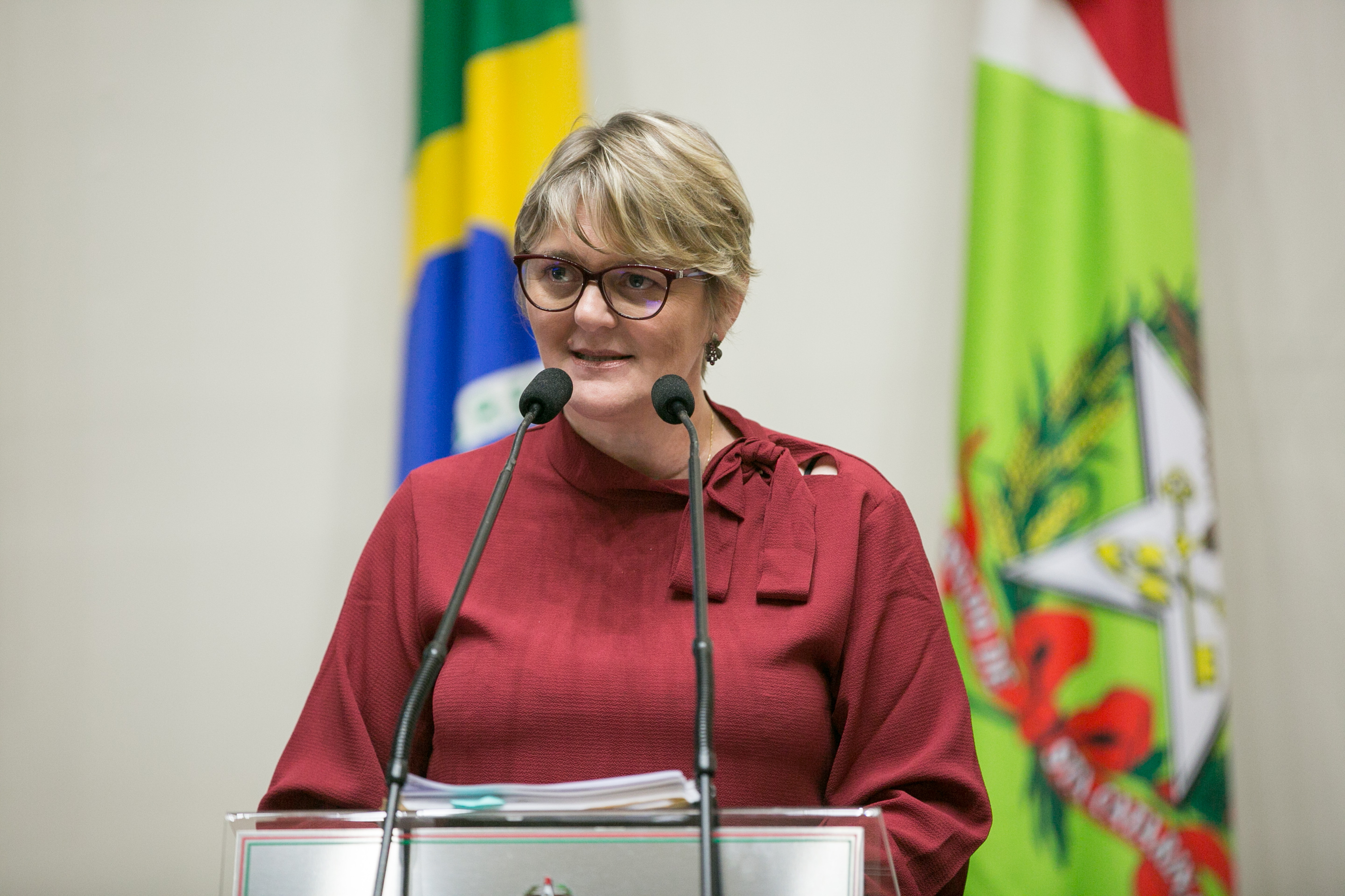 Deputada Luciane Carminatti (PT)
