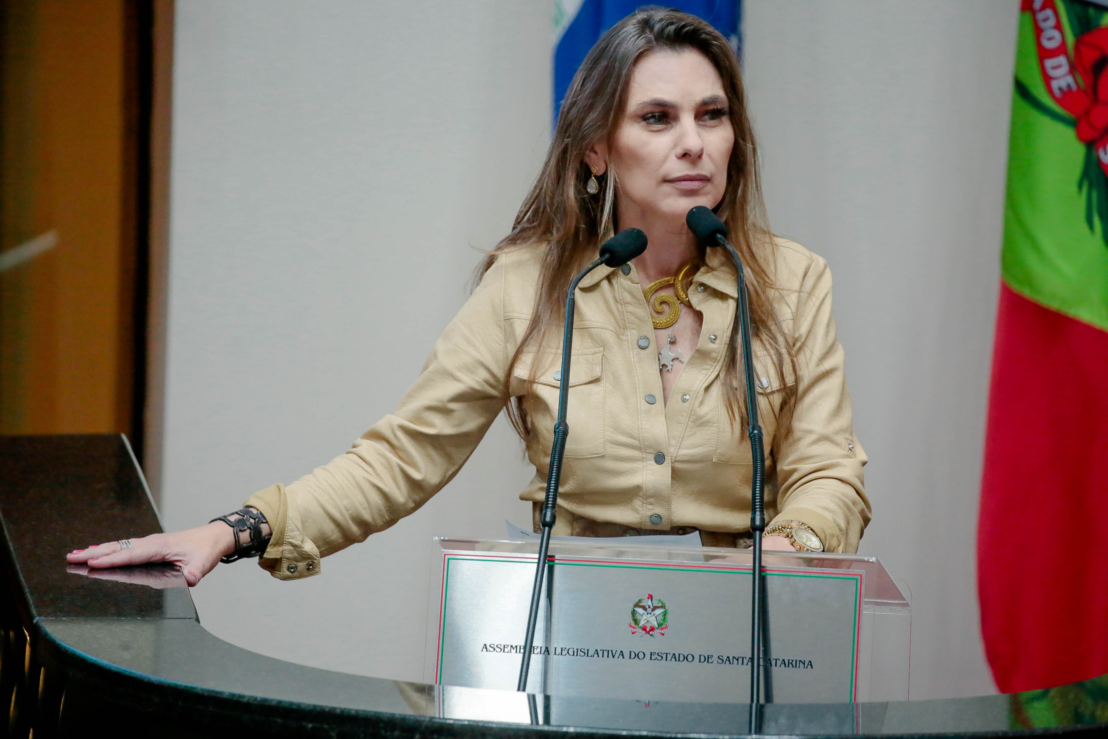 Deputada Paulinha (PDT)