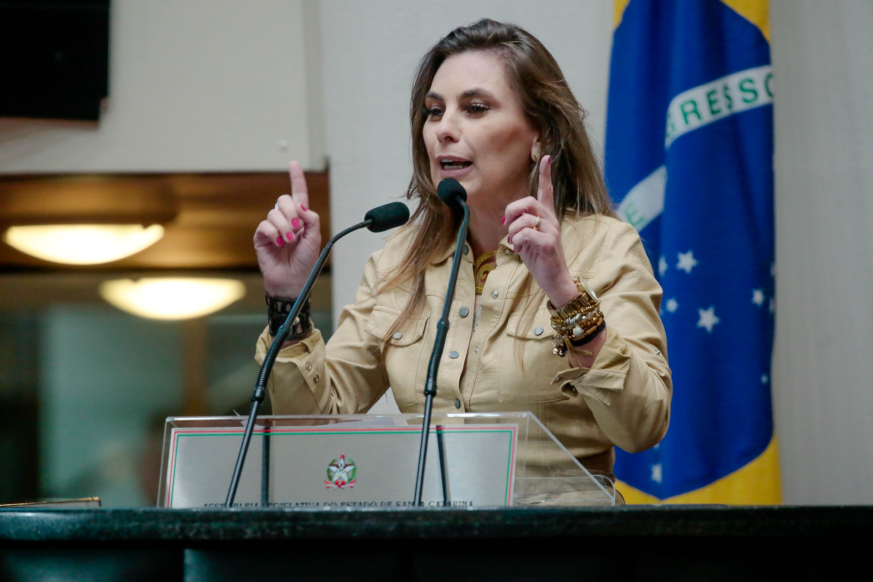 Deputada Paulinha (PDT)