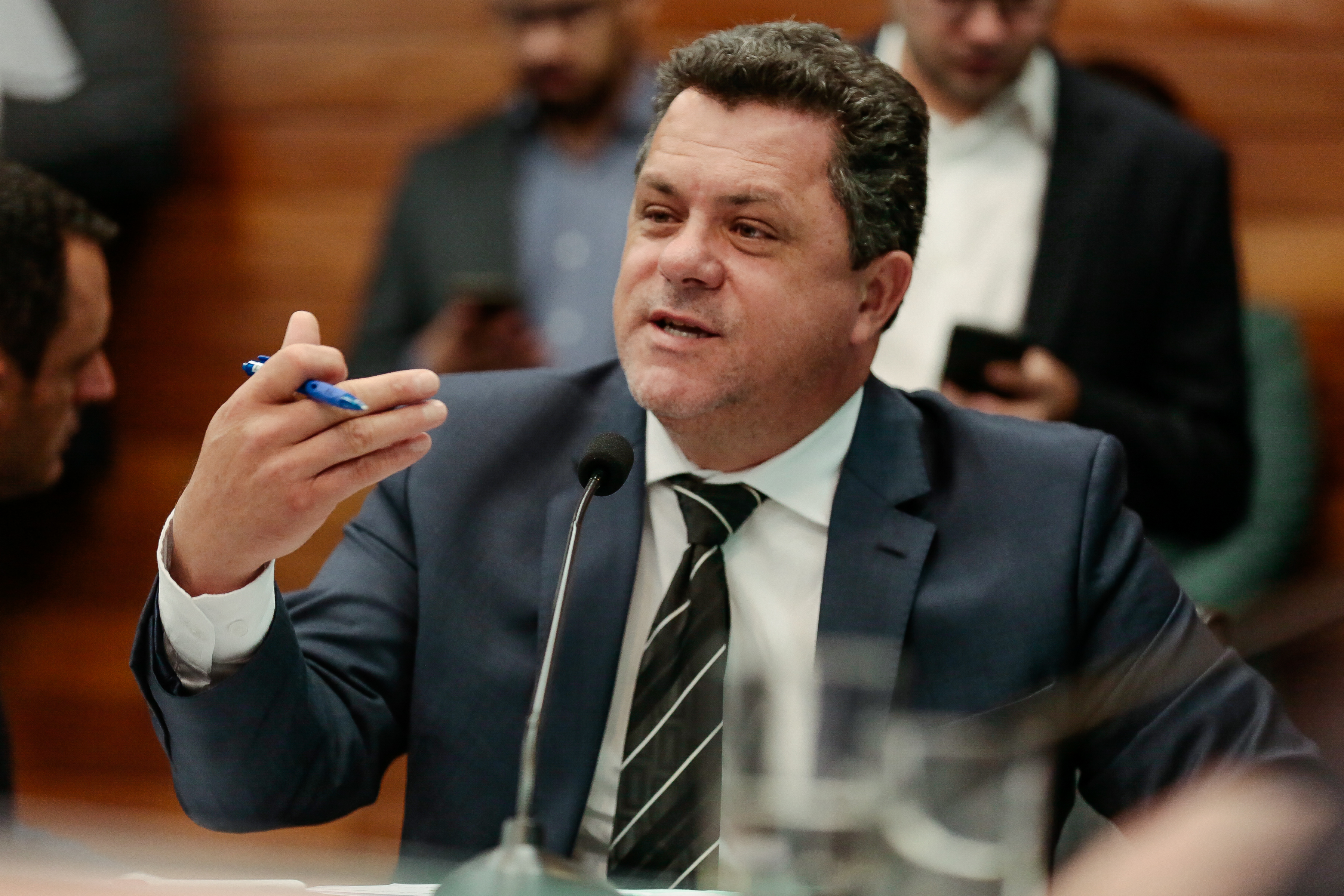 Deputado Ivan Naatz (PV)
