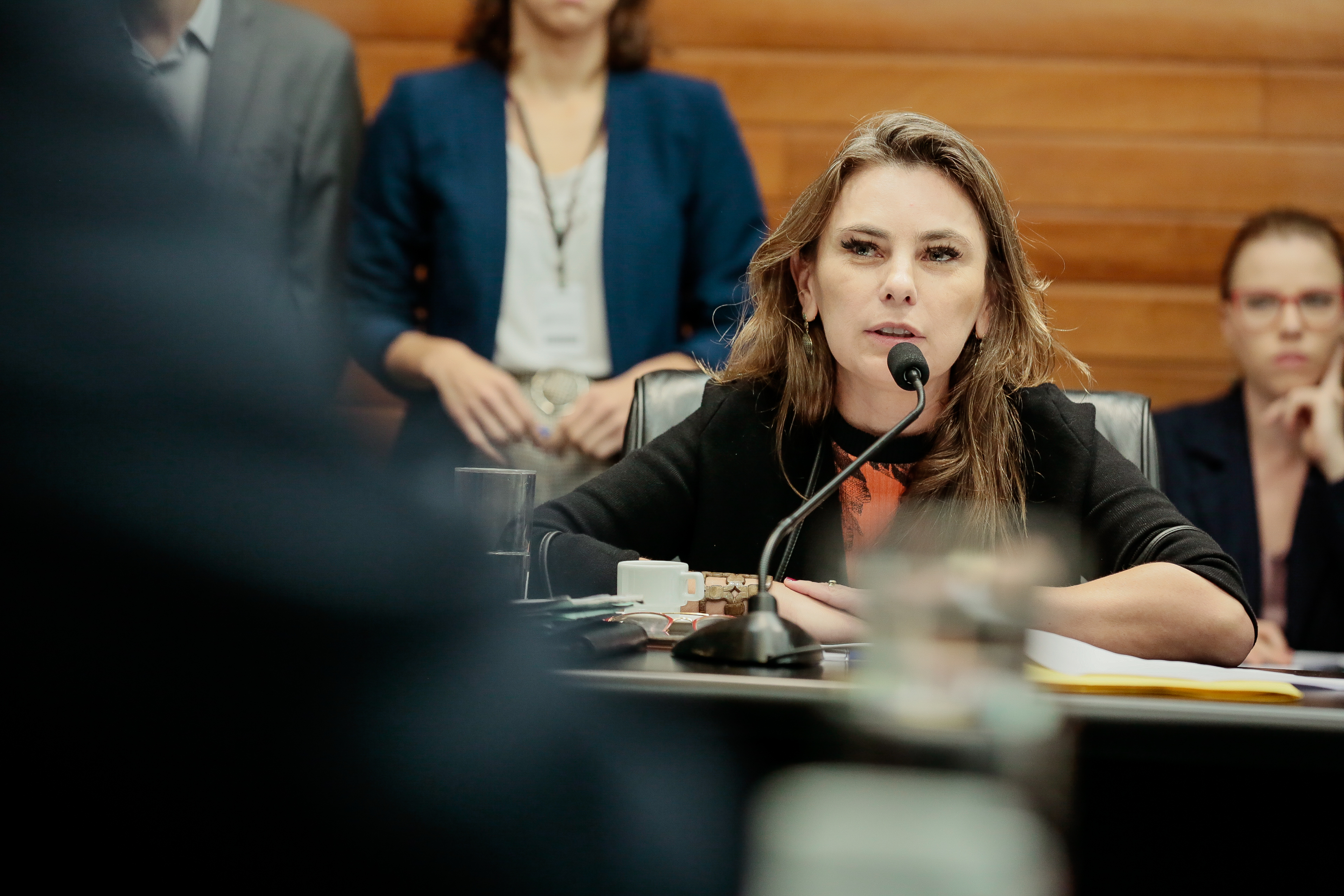 Deputada Paulinha (PDT)