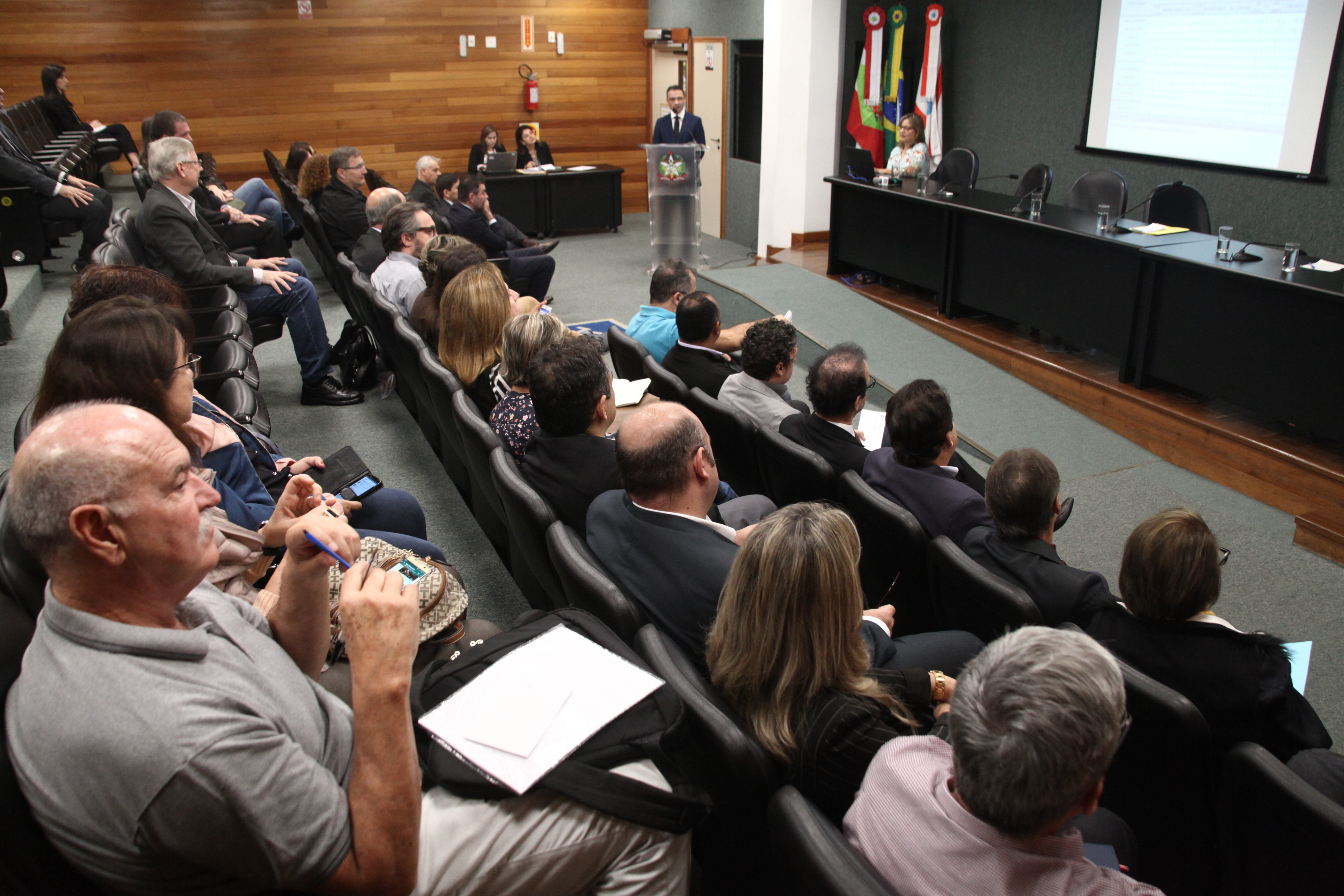 Audiência Publica Prestação de Contas do 1º quadrimestre de 2019 da Secretaria da Saúde