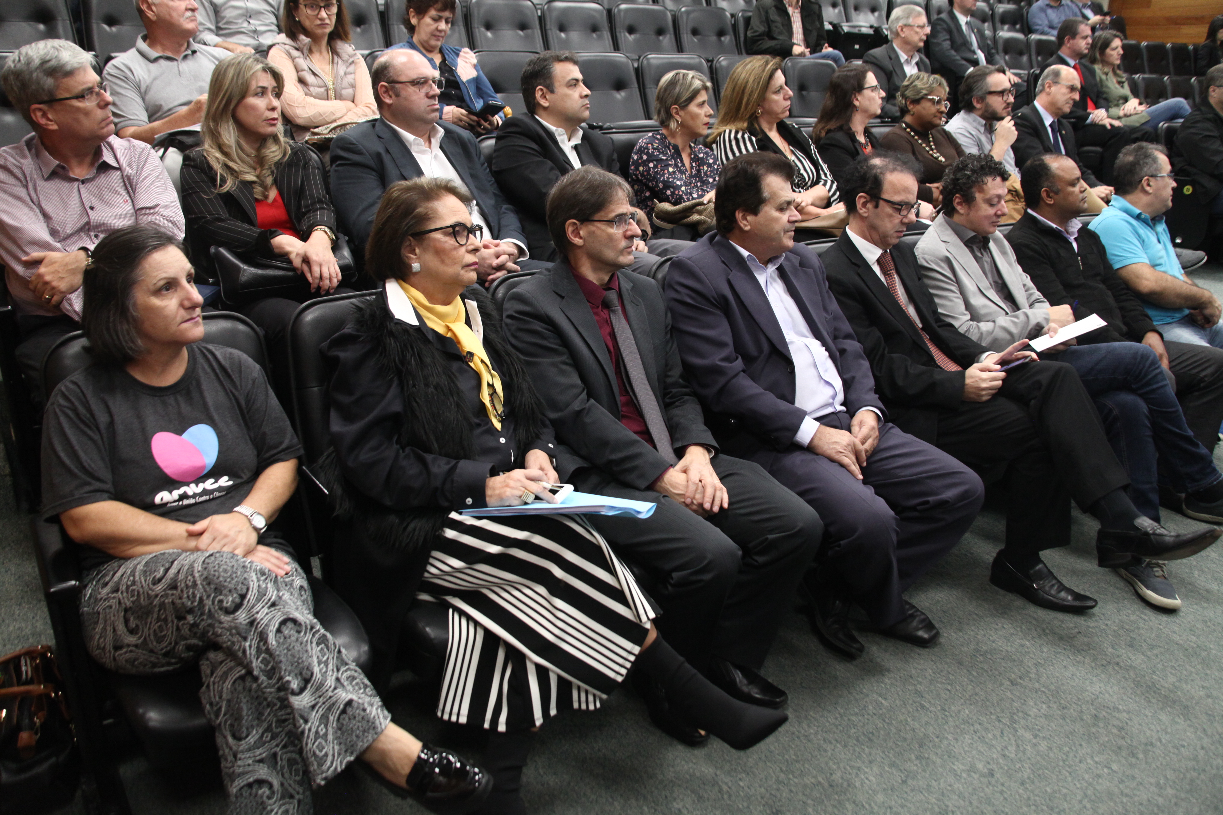 Audiência Publica Prestação de Contas do 1º quadrimestre de 2019 da Secretaria da Saúde