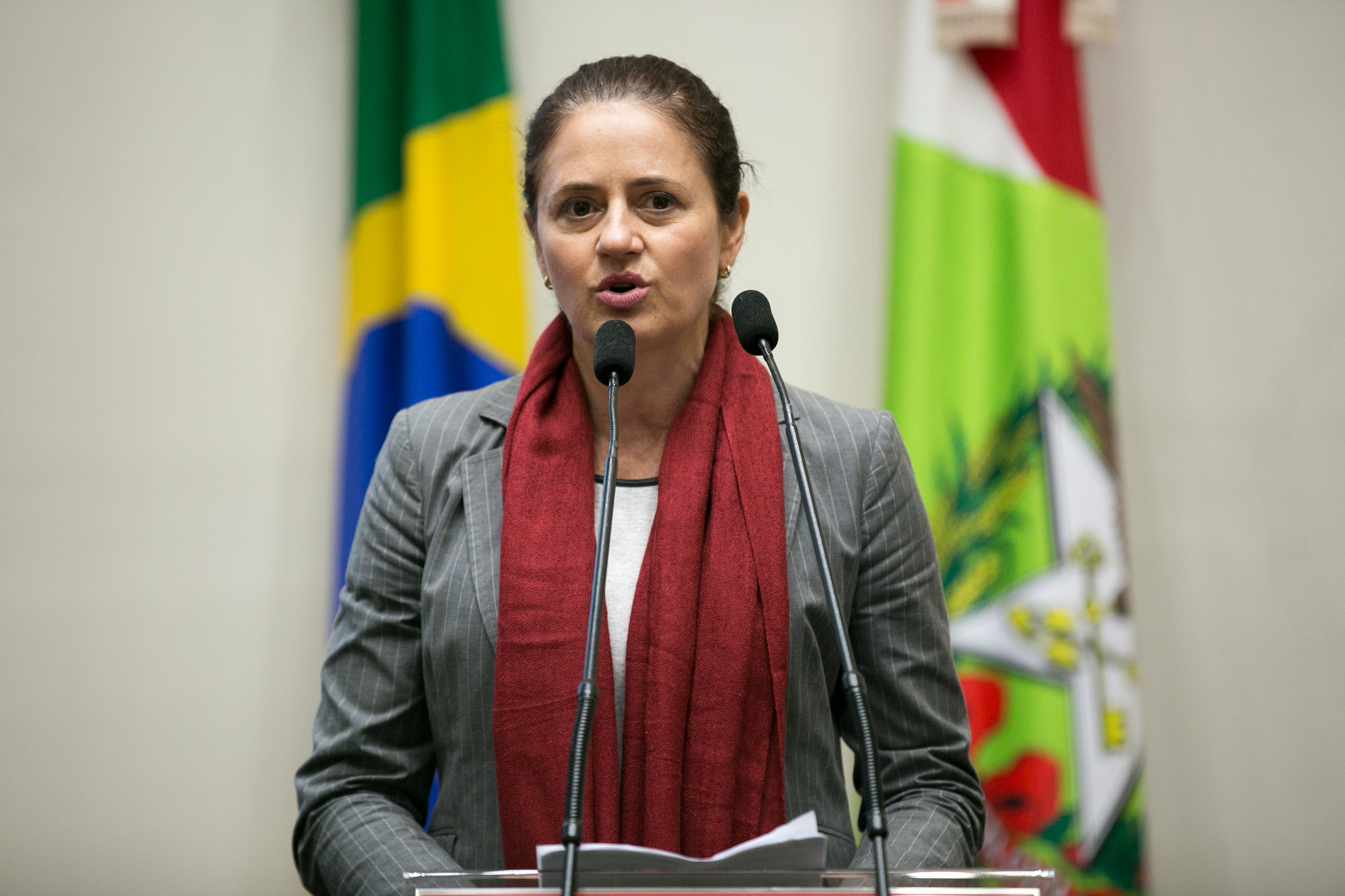 Deputada Marlene Fengler (PSD)