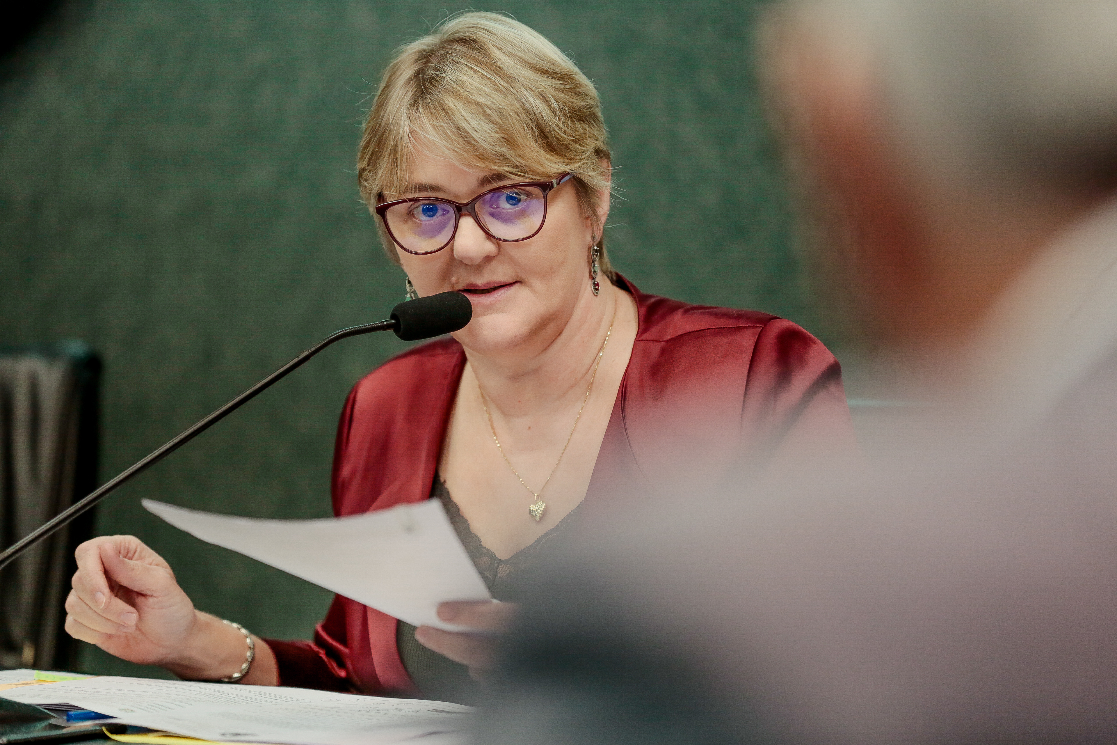 Deputada Luciane Carminatti (PT)