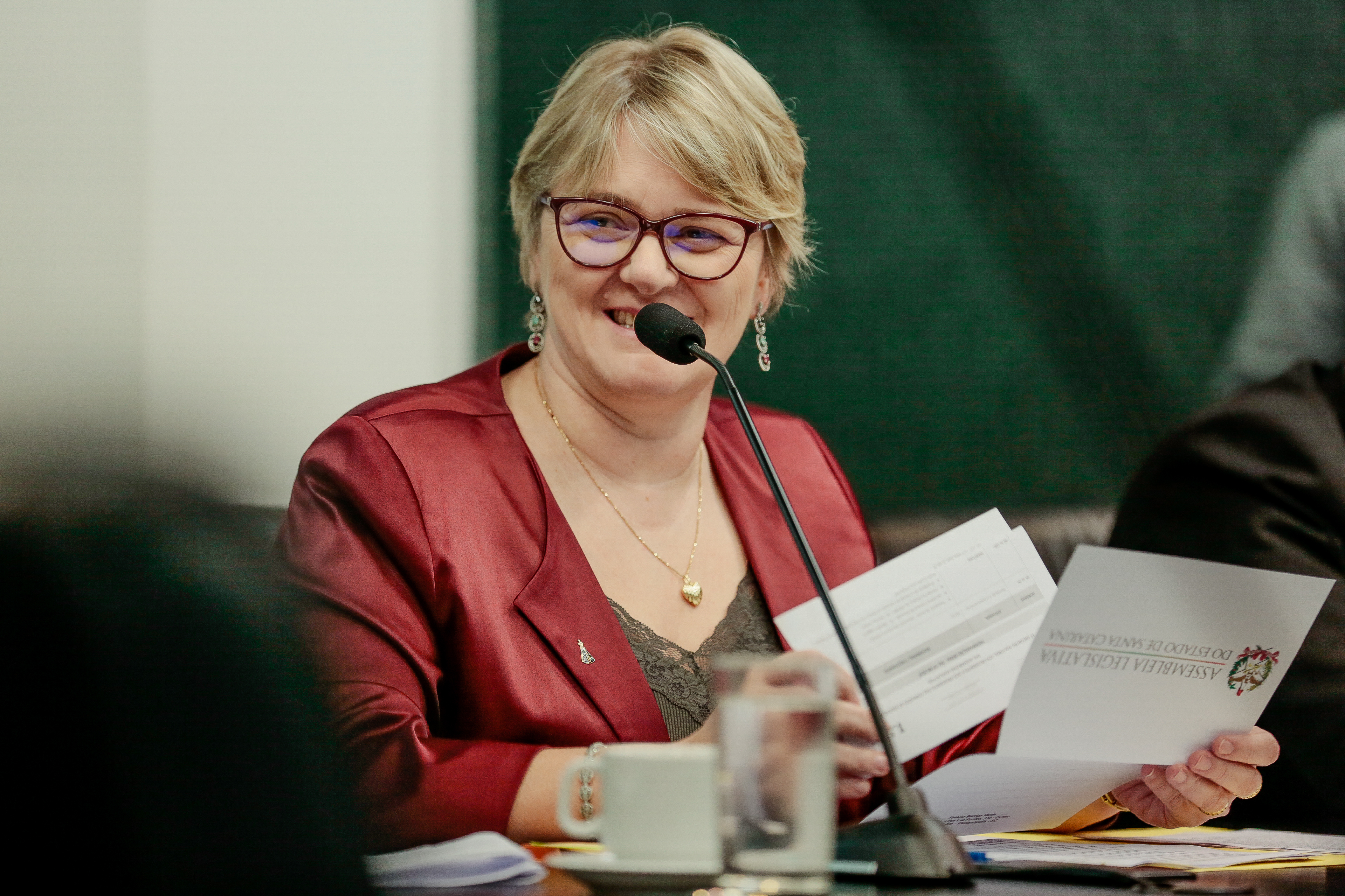 Deputada Luciane Carminatti (PT)