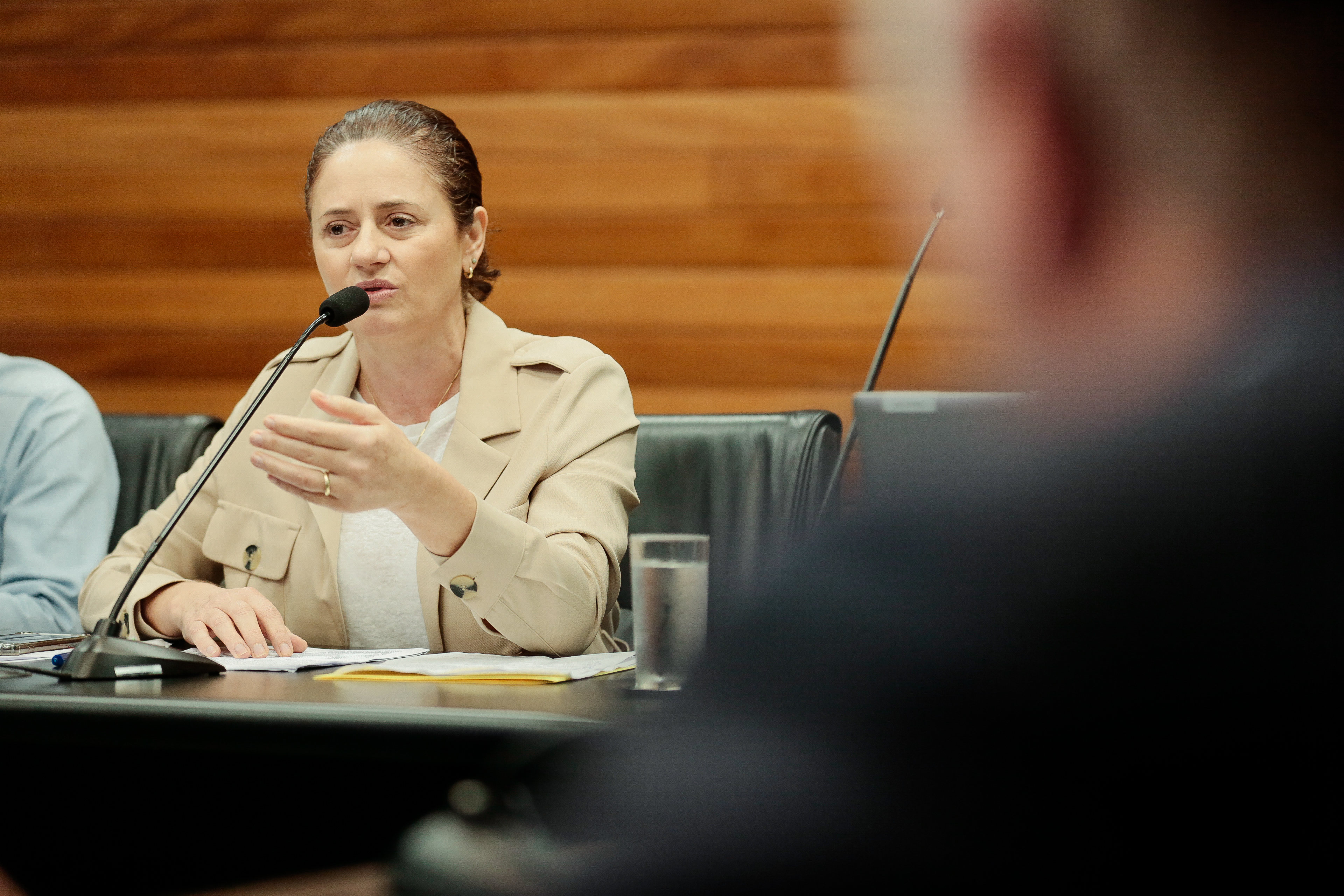 Deputada Marlene Fengler (PSD)