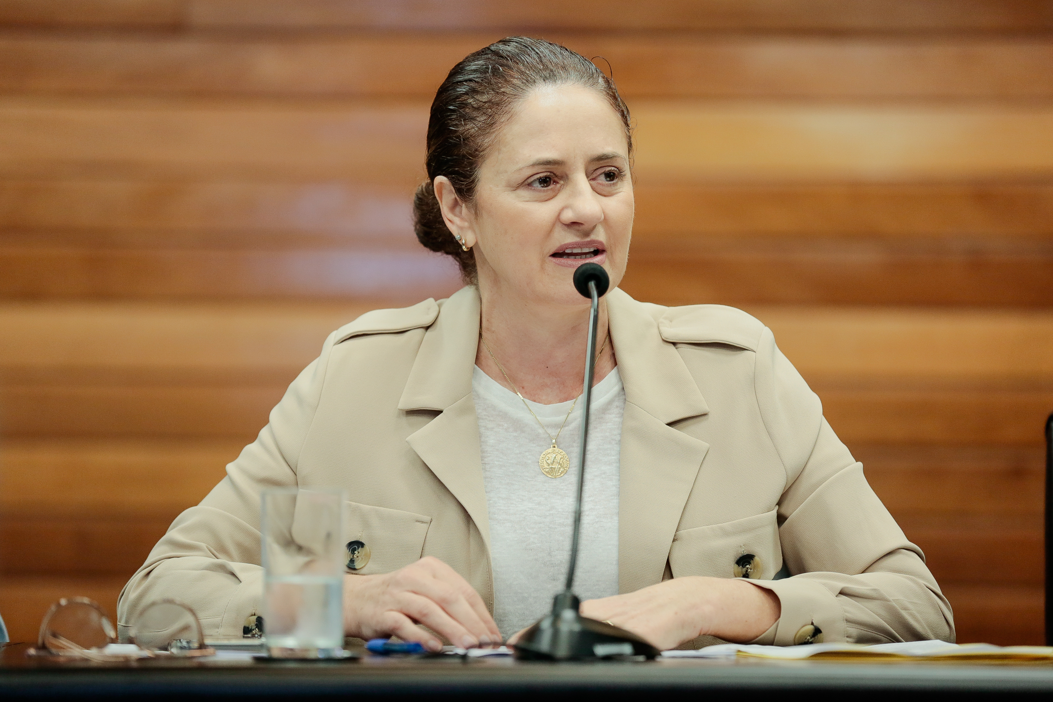 Deputada Marlene Fengler (PSD)