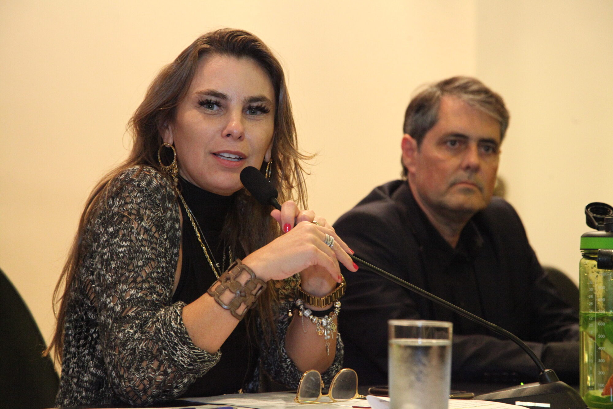 Deputada Paulinha (PDT).