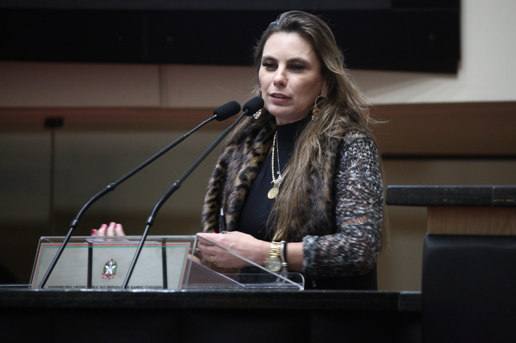 Deputada Paulinha