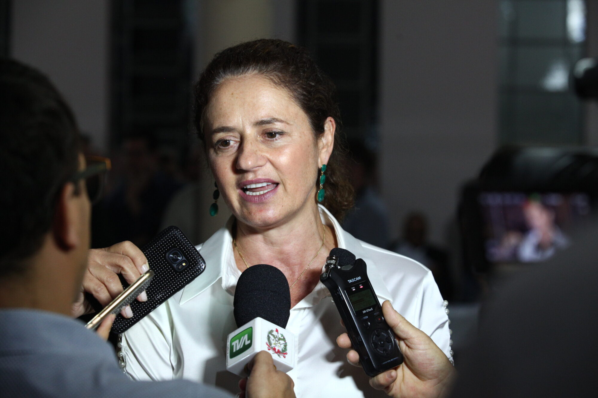 Deputada Marlene Fengler (PSD).
