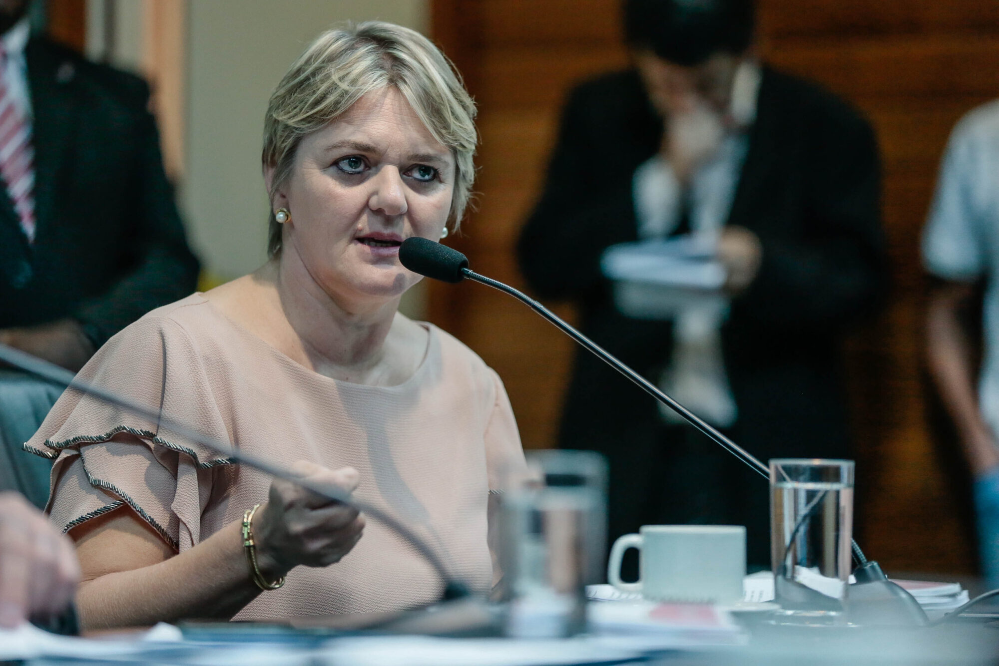 Deputada Luciane Carminatti na Comissão de Finanças