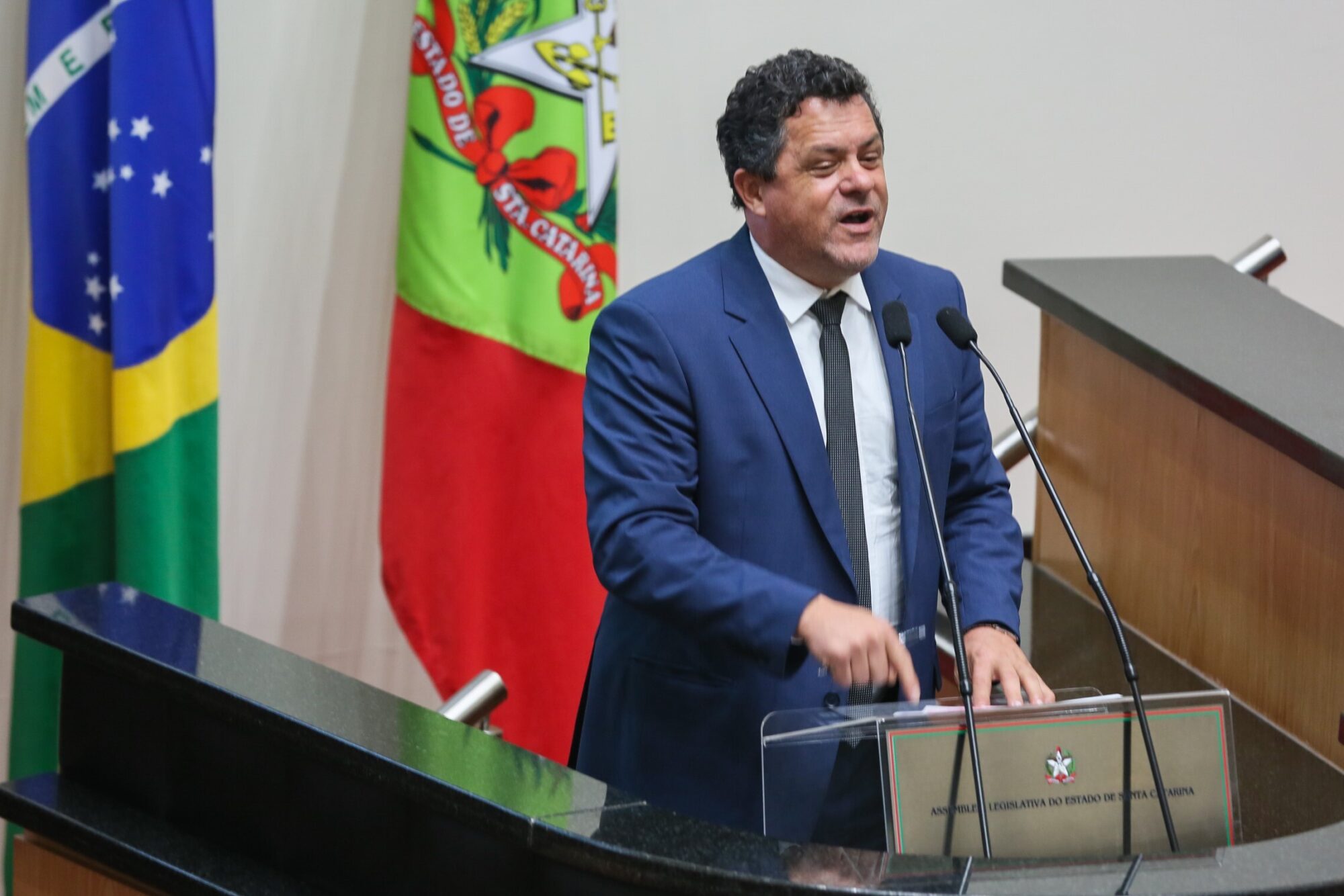 Deputado Ivan Naatz
