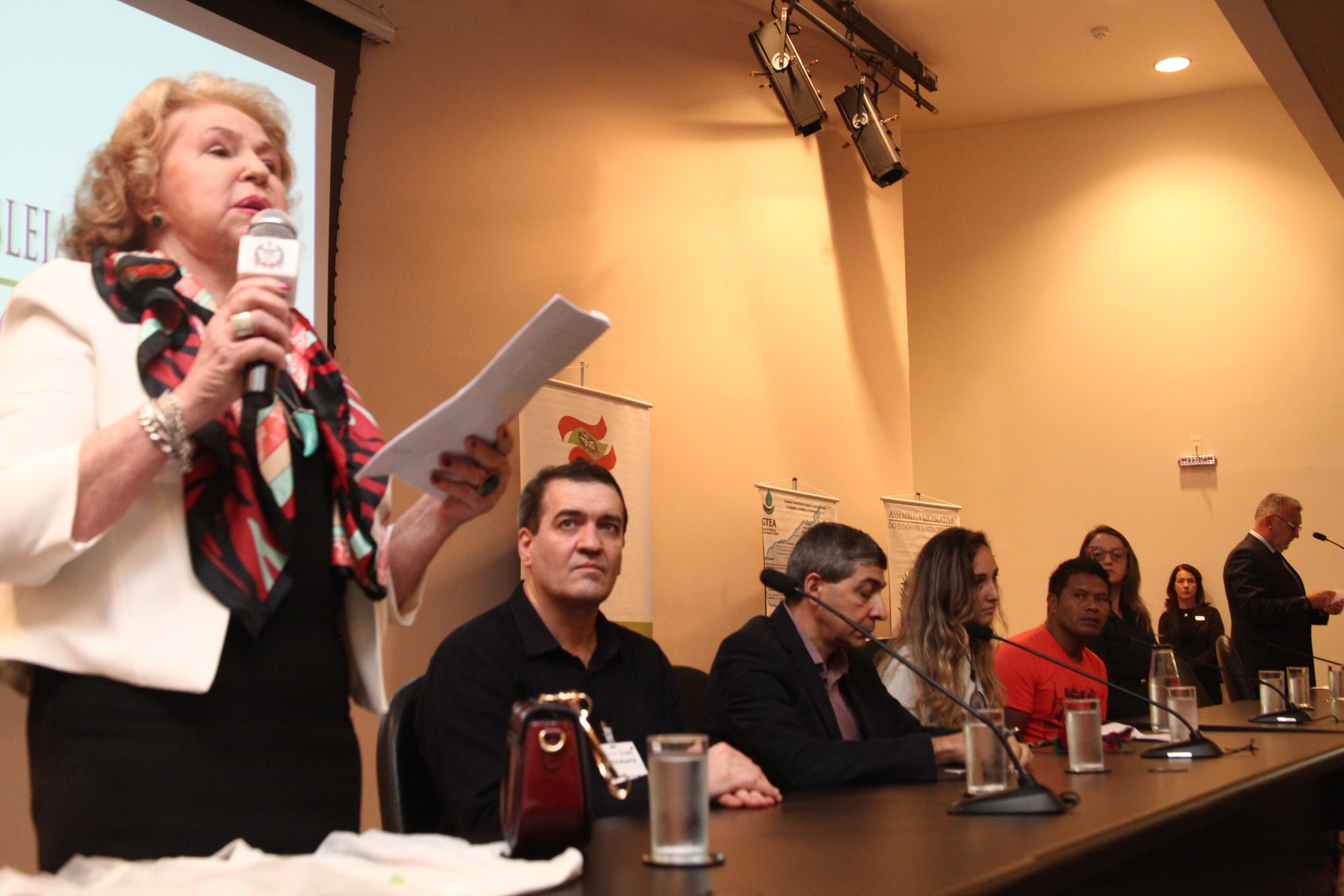 X Seminário de Educação Ambiental Cultura Indigena Sobre o Processo Educativo