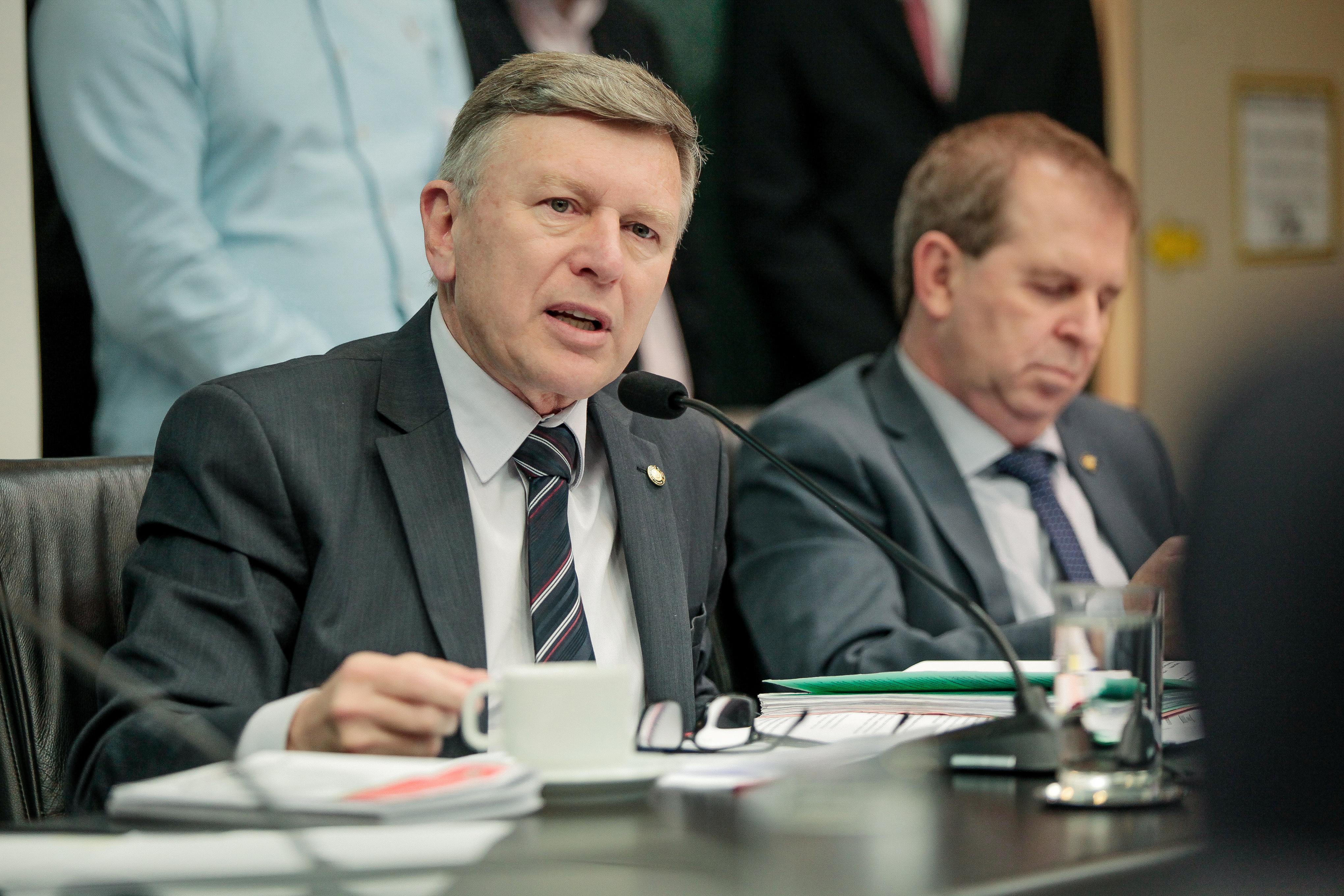 Deputado Milton Hobus (PSD)
