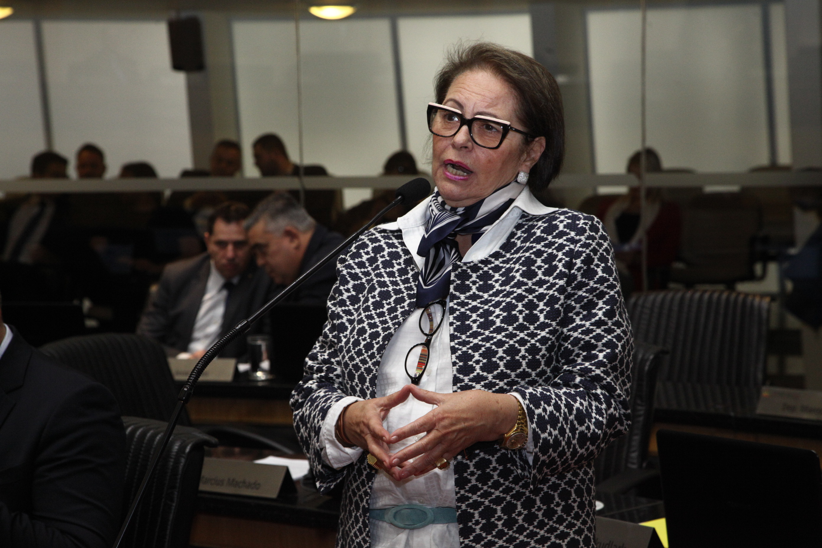 Sessão Plenária em 04/06/2019 - Deputada Ada Faraco de Luca (MDB)
