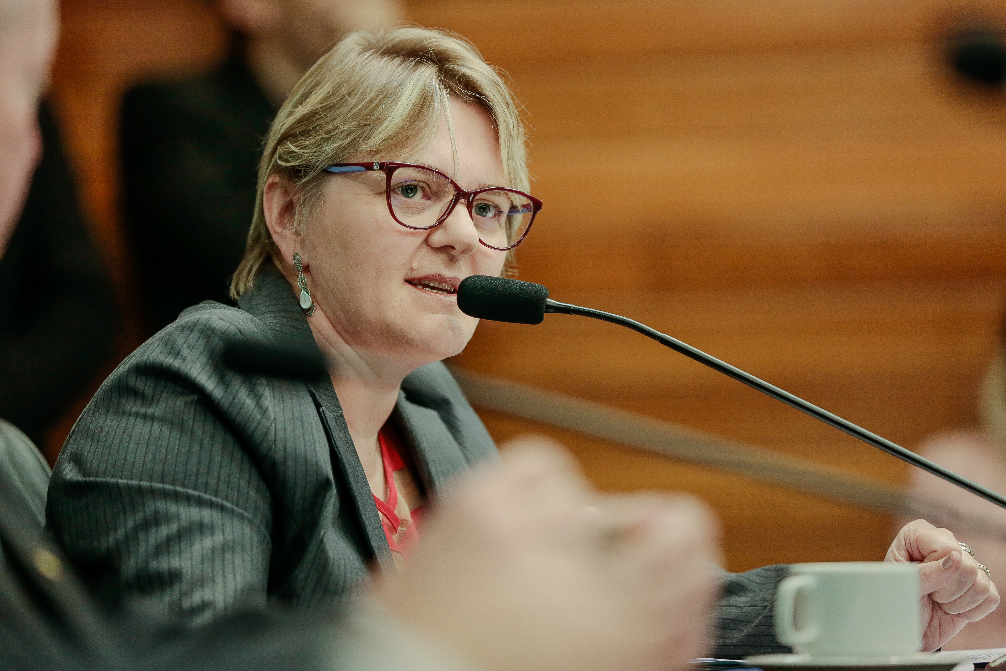 Deputada Luciane Carminatti (PT)