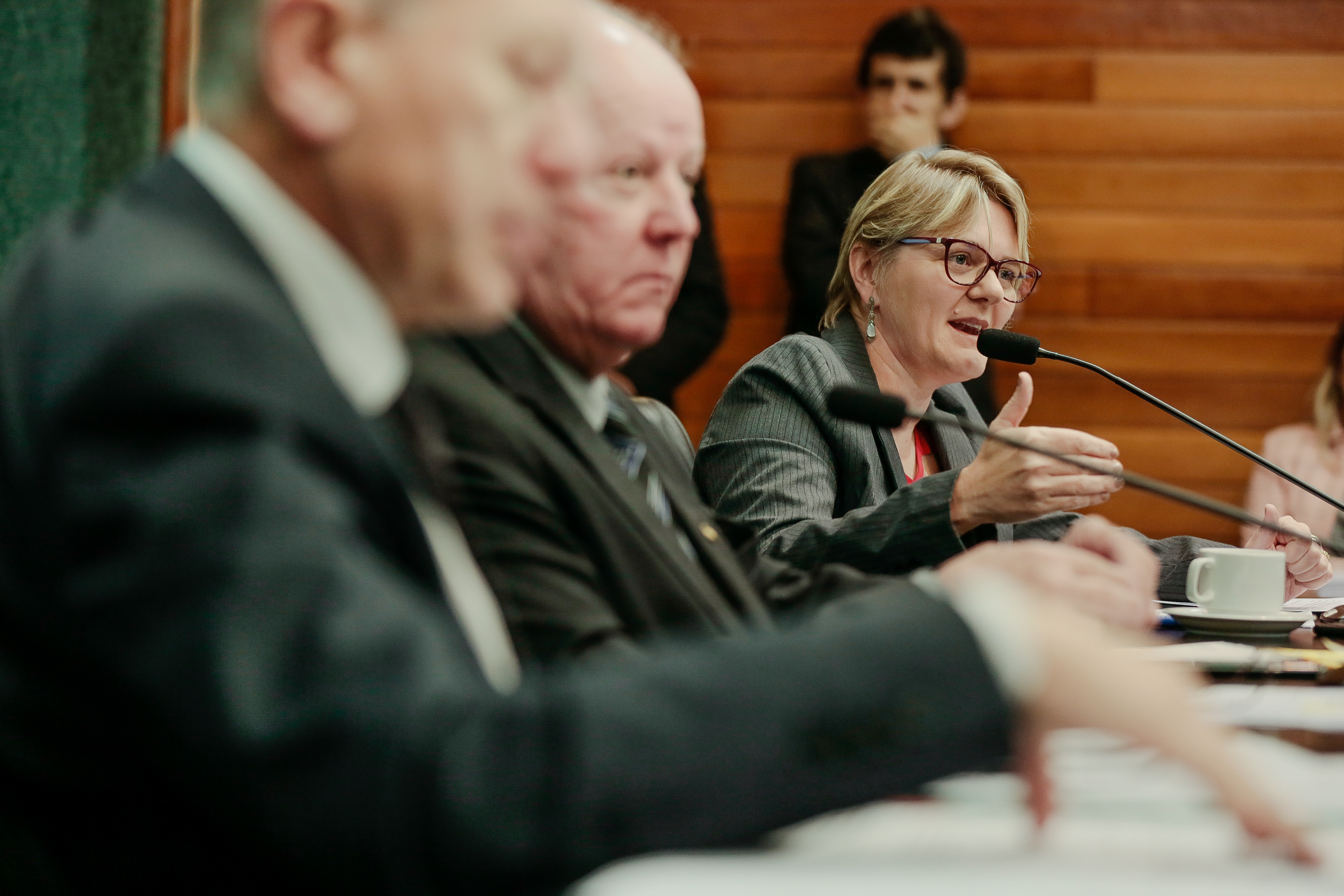 Deputada Luciane Carminatti (PT)