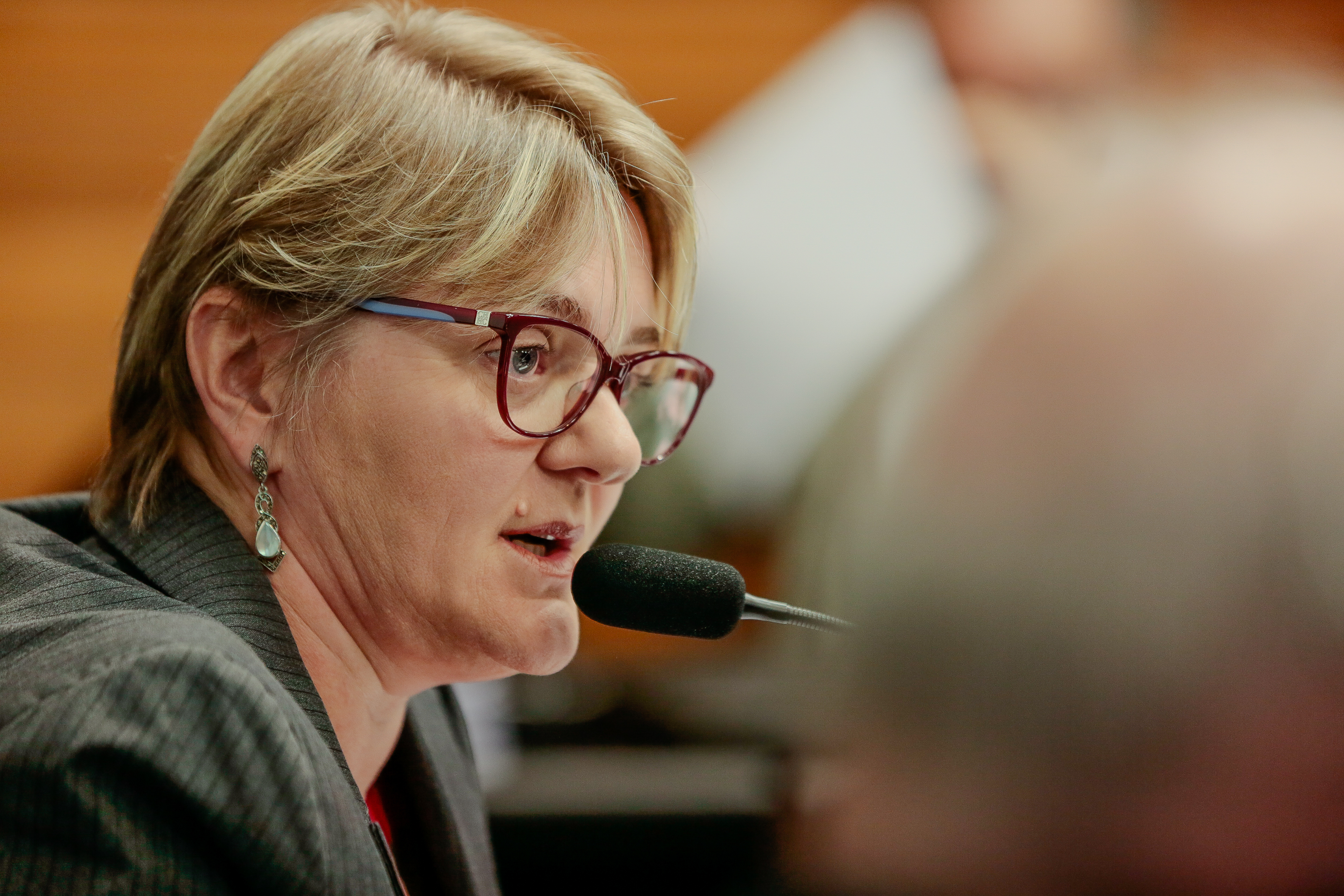 Deputada Luciane Carminatti (PT)