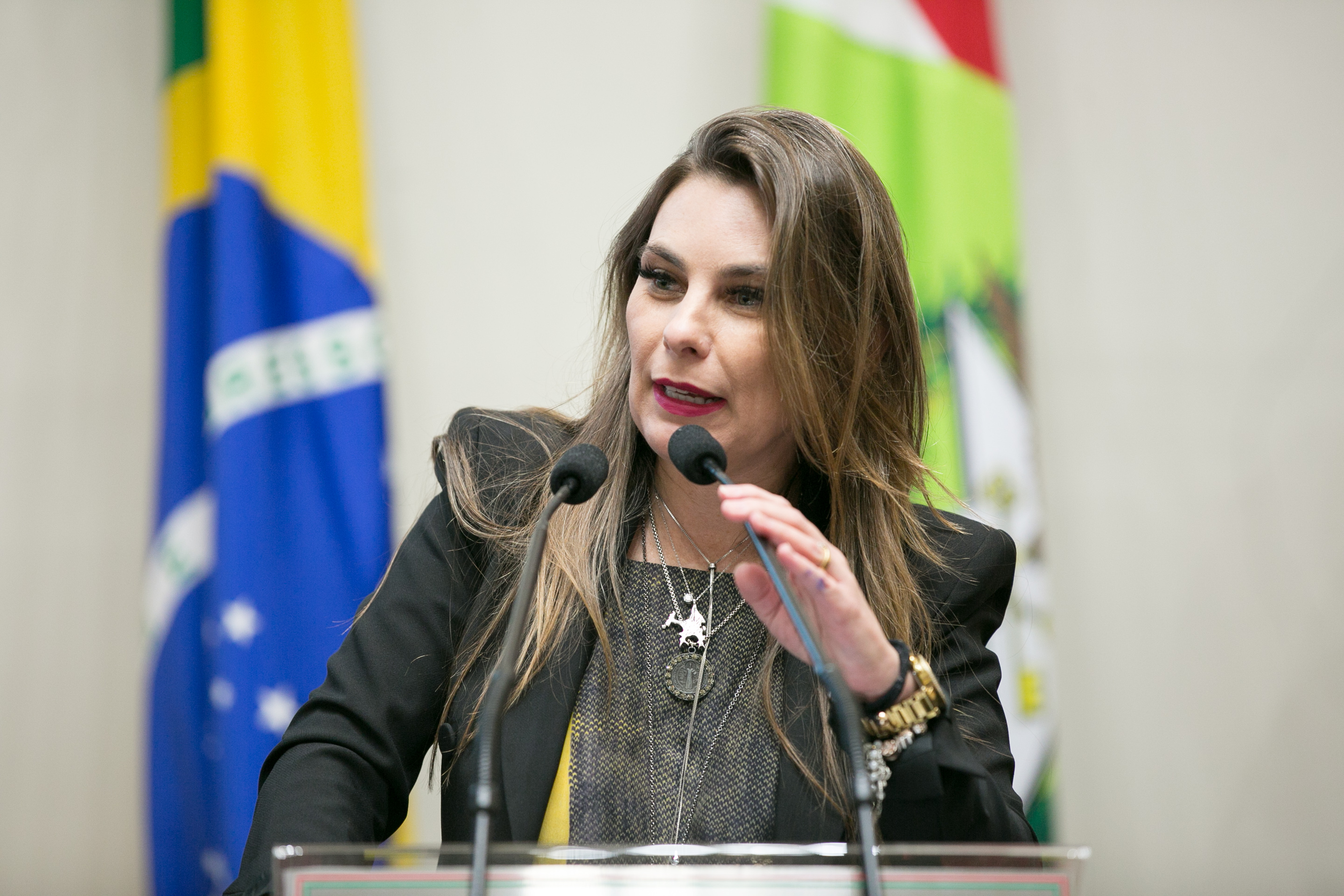 Deputada Paulinha (PDT)