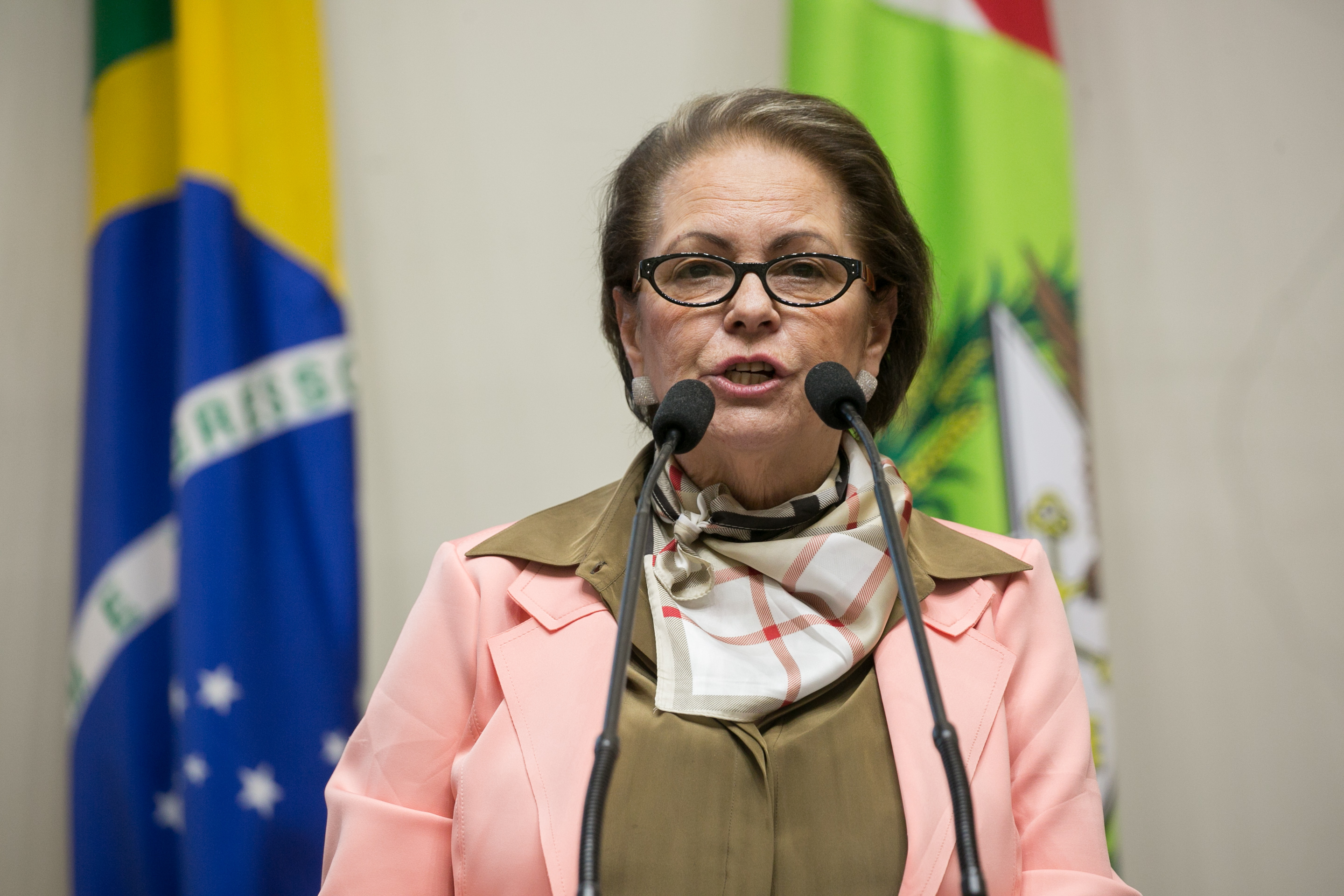 Deputada Ada De Luca (MDB)