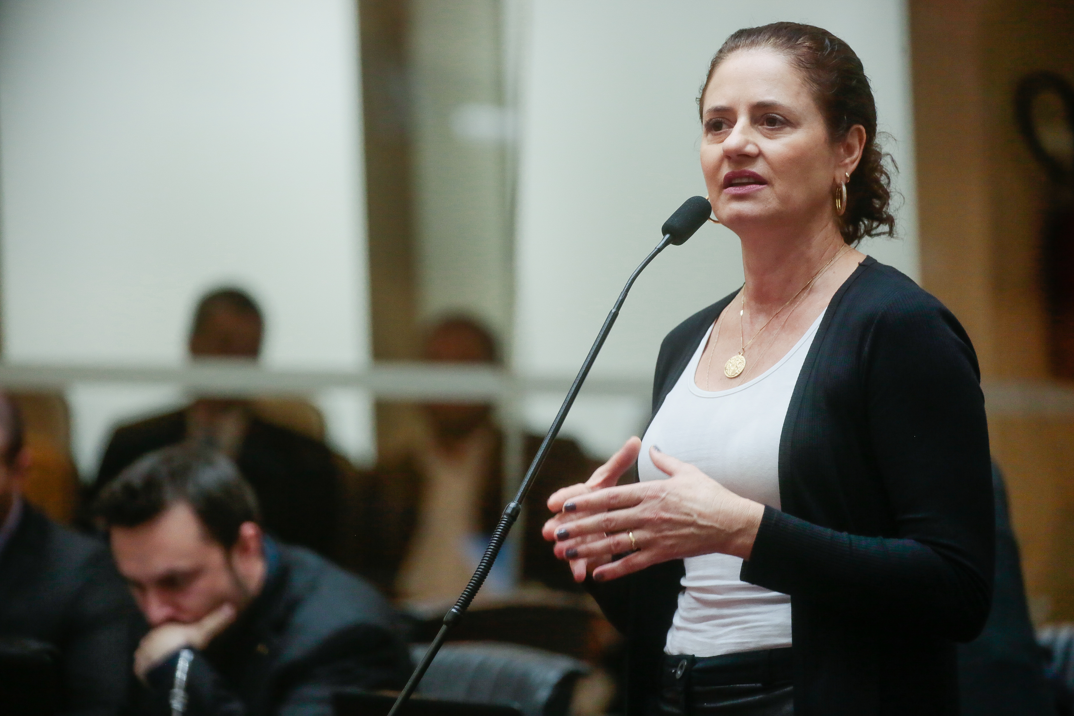 Deputada Marlene Fengler (PSD)