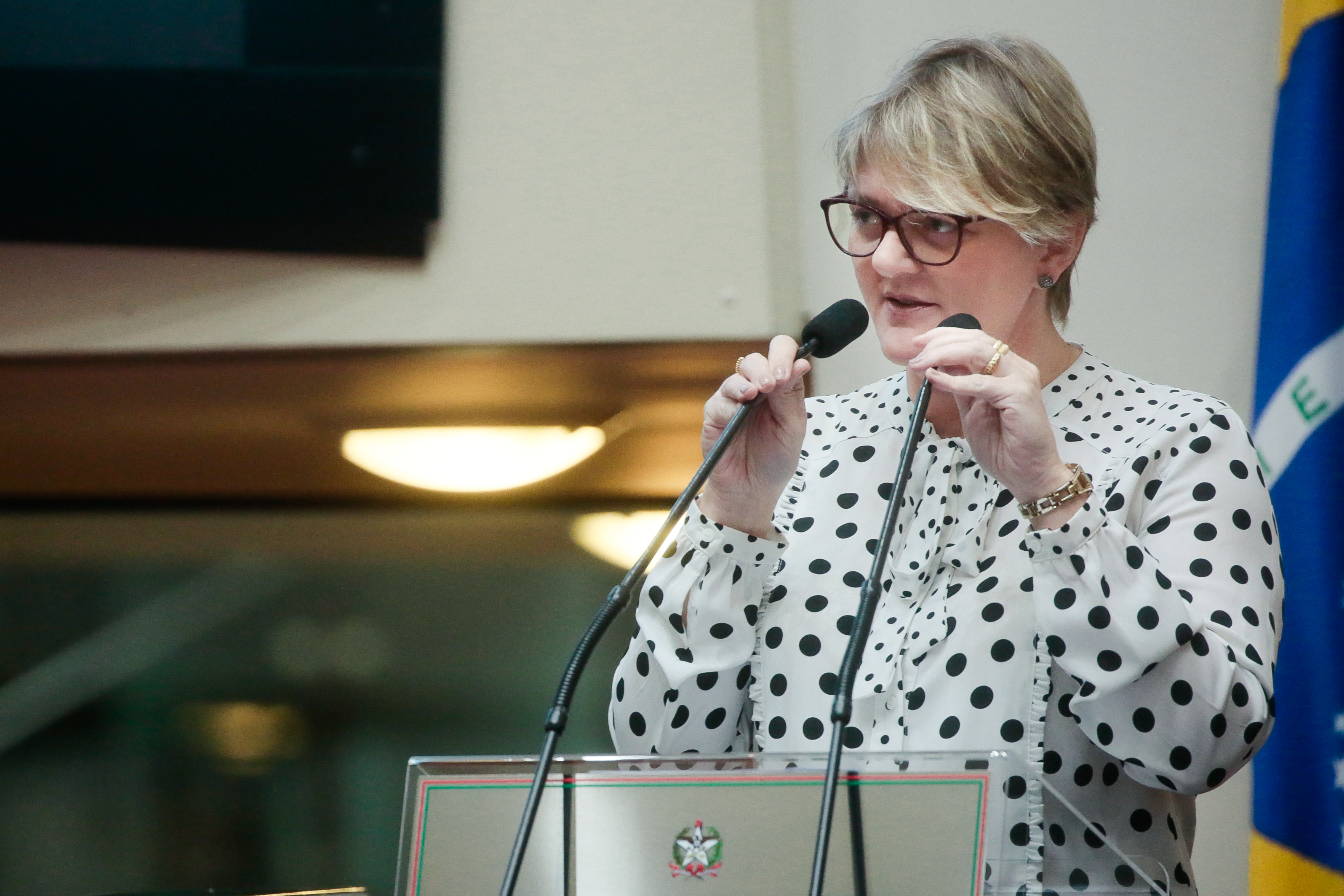 Deputada Luciane Carminatti (PT)
