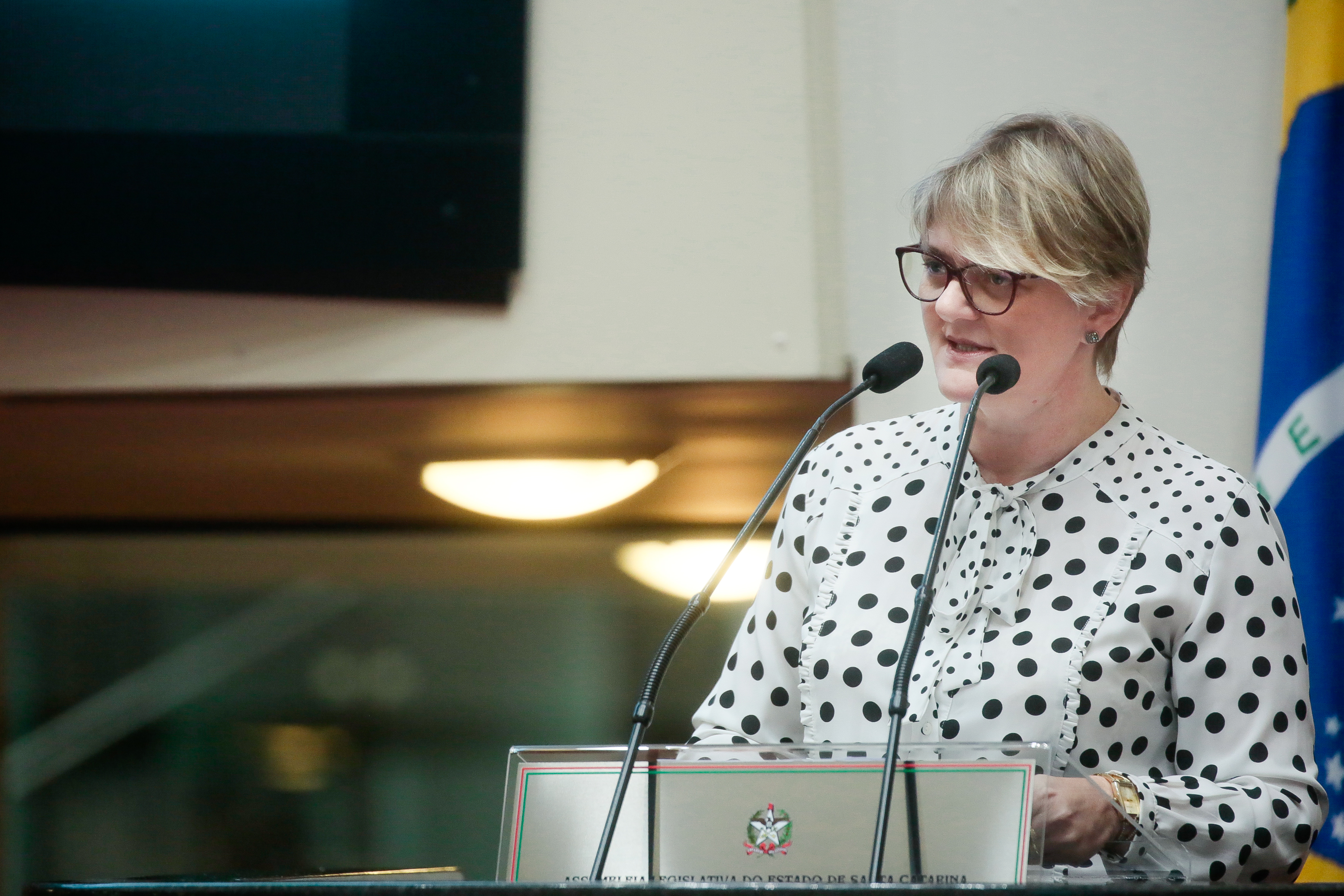 Deputada Luciane Carminatti (PT)