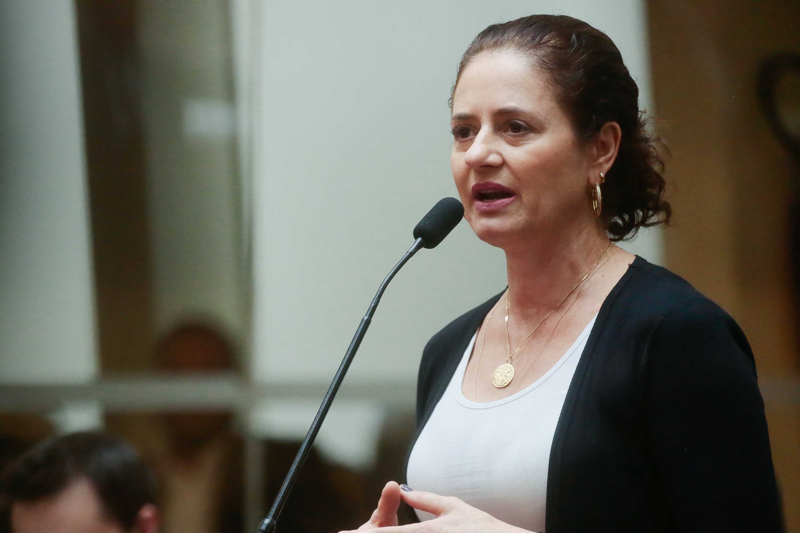 Deputada Marlene Fengler (PSD)