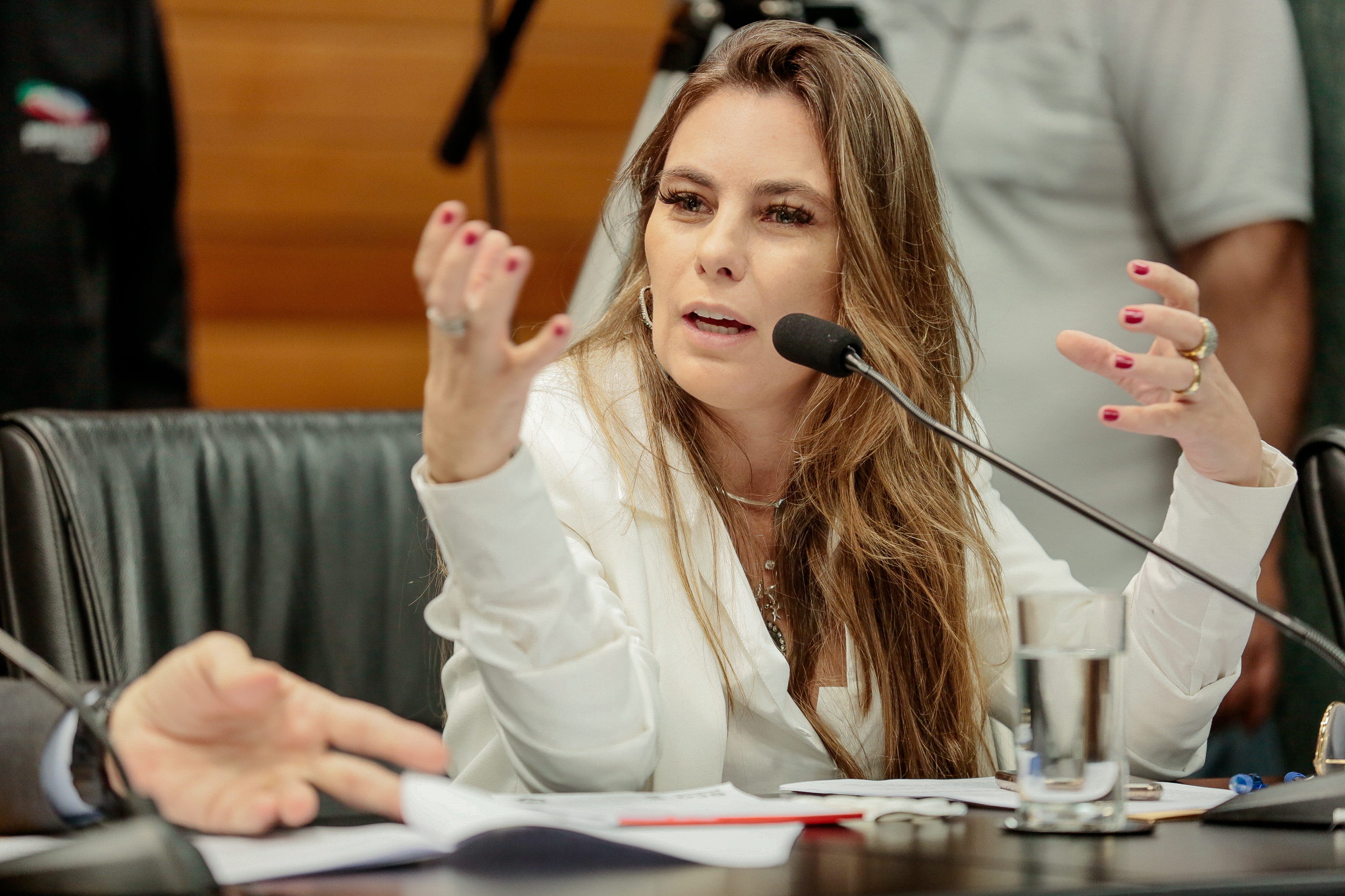 Deputada Paulinha (PDT)