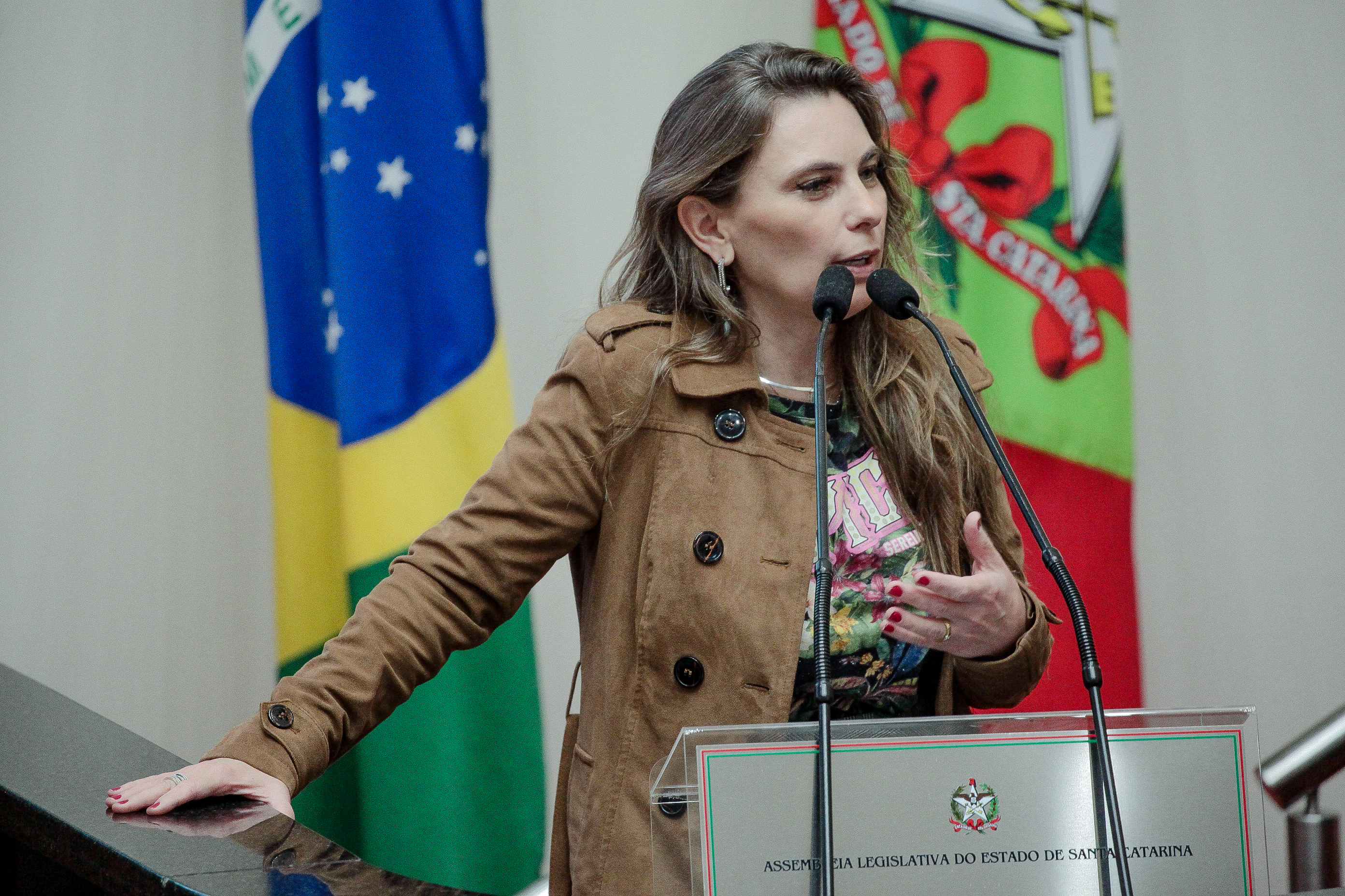 Deputada Paulinha (PDT)