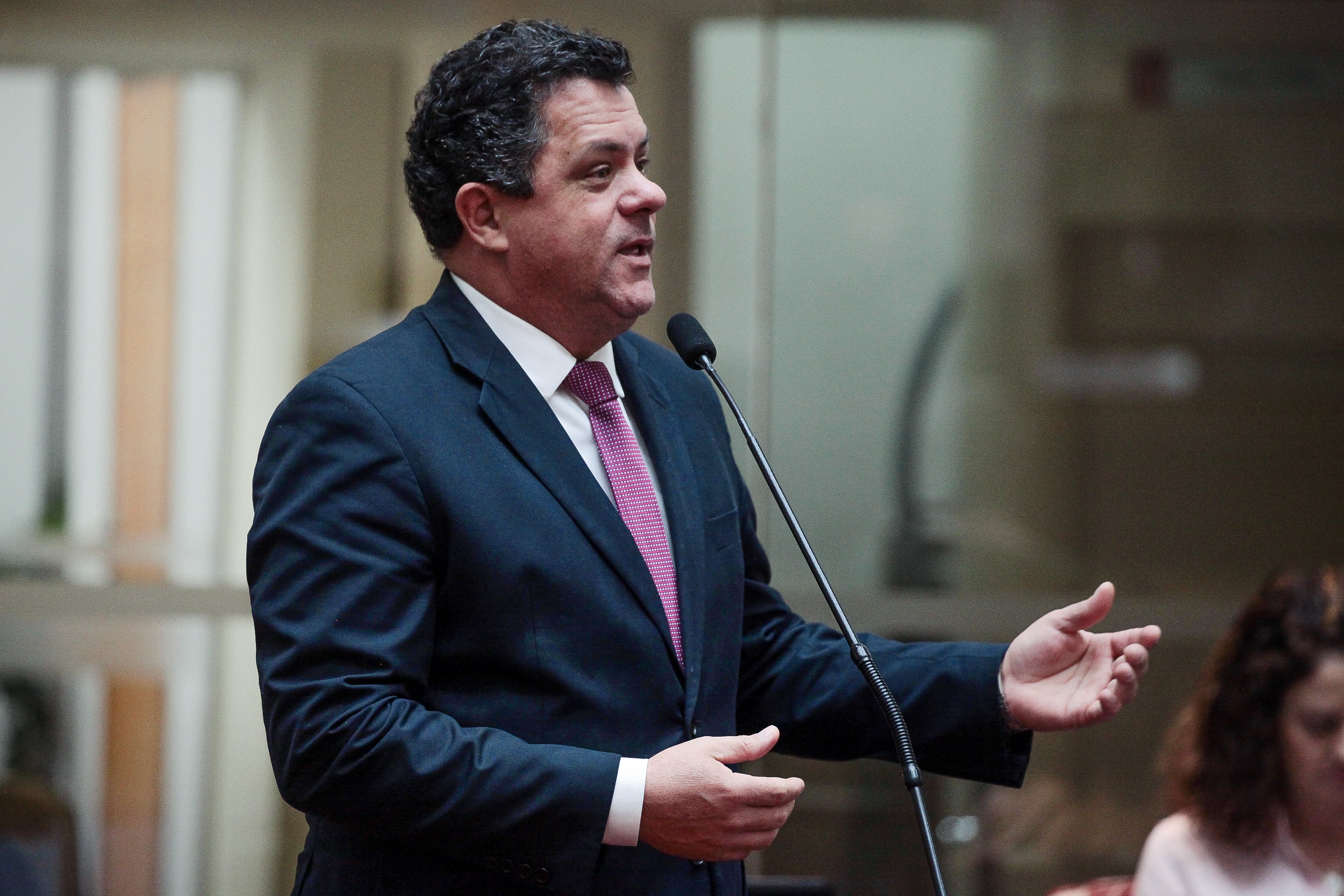 Deputado Ivan Naatz (PV)