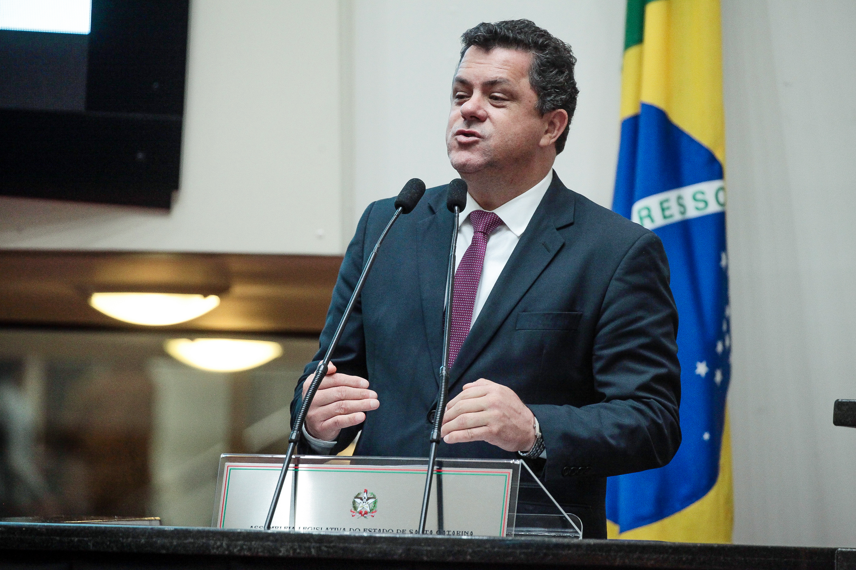 Deputado Ivan Naatz (PV)
