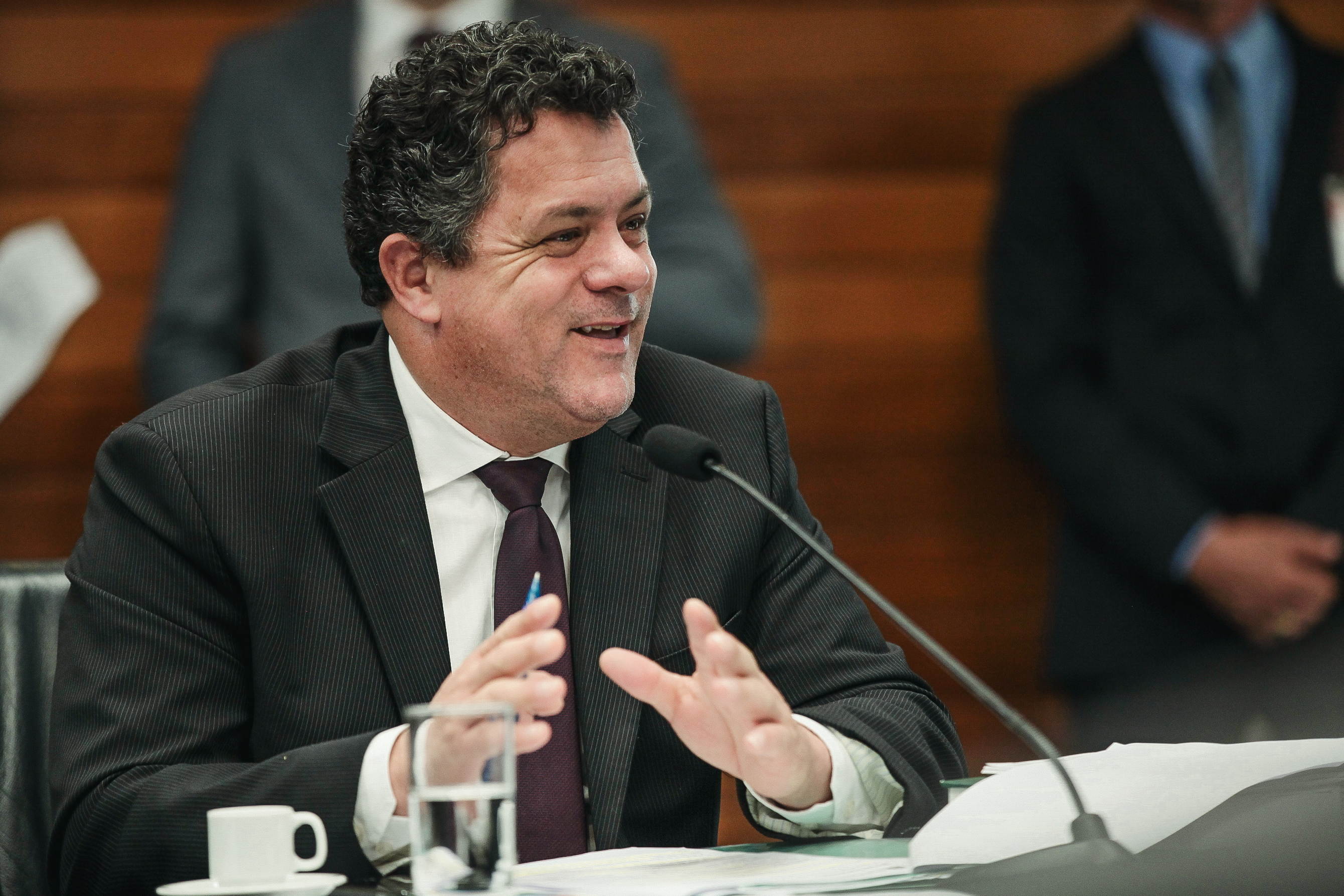 Deputado Ivan Naatz (PV)