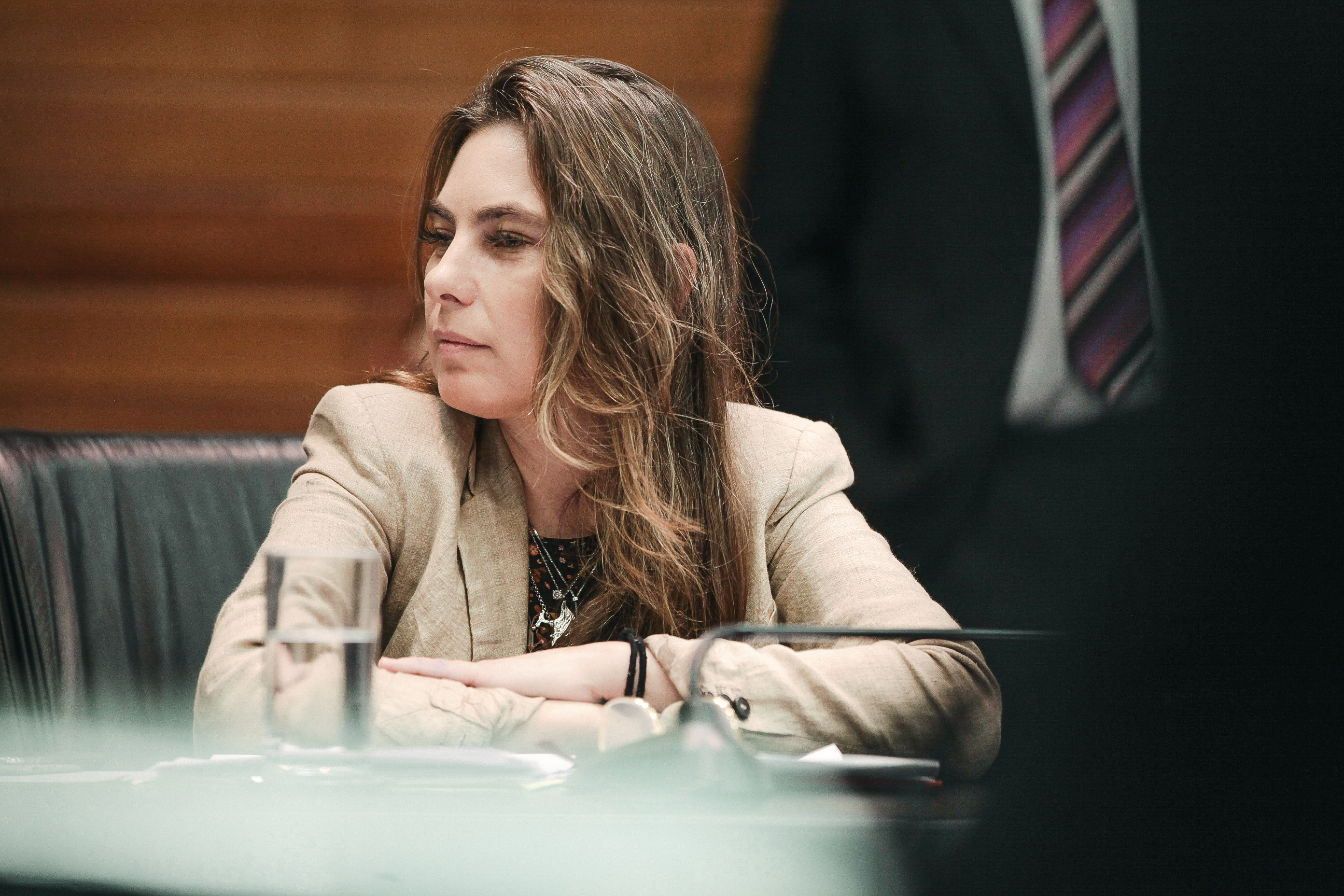 Deputada Paulinha (PDT)